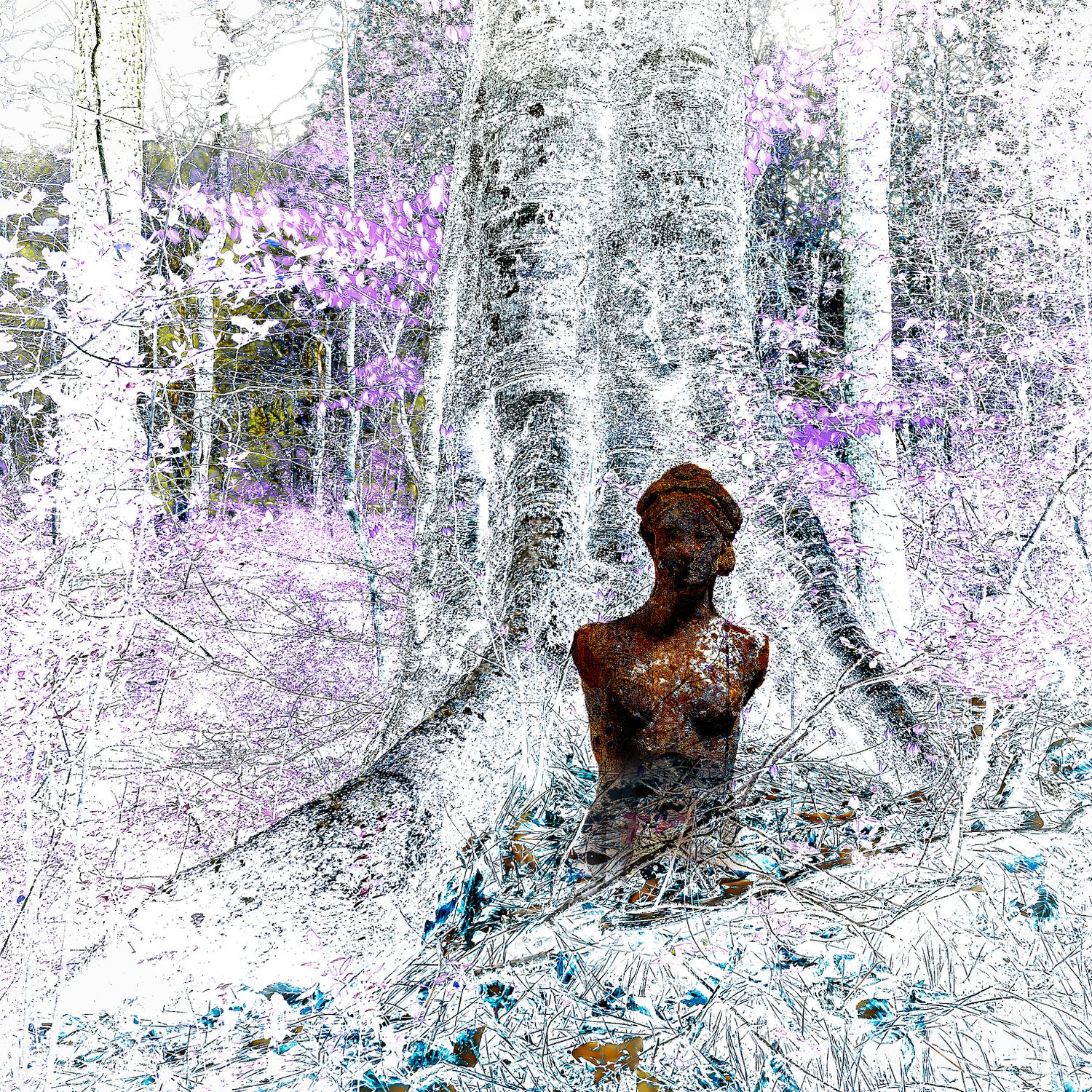 Beech Forest: Dryad