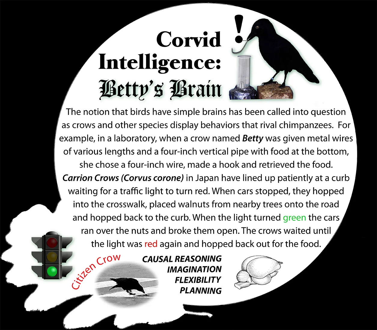 crowintelligence_sm.jpg