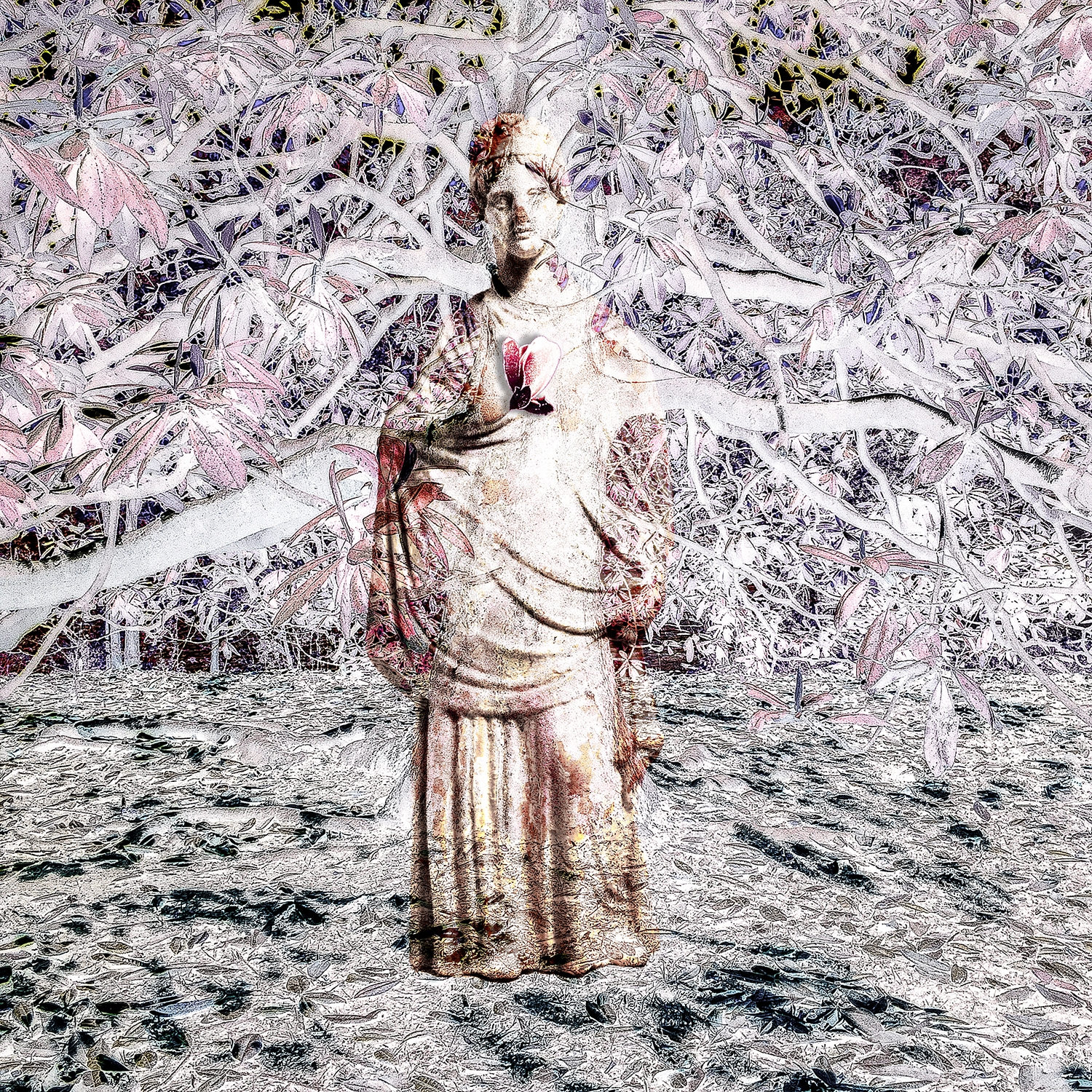 Magnolia: Dryad