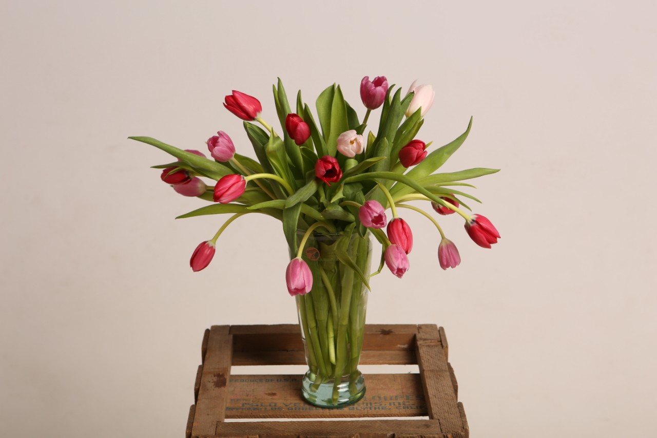 Fall Fever — Rubia Flower Market West Lafayette Flower Delivery