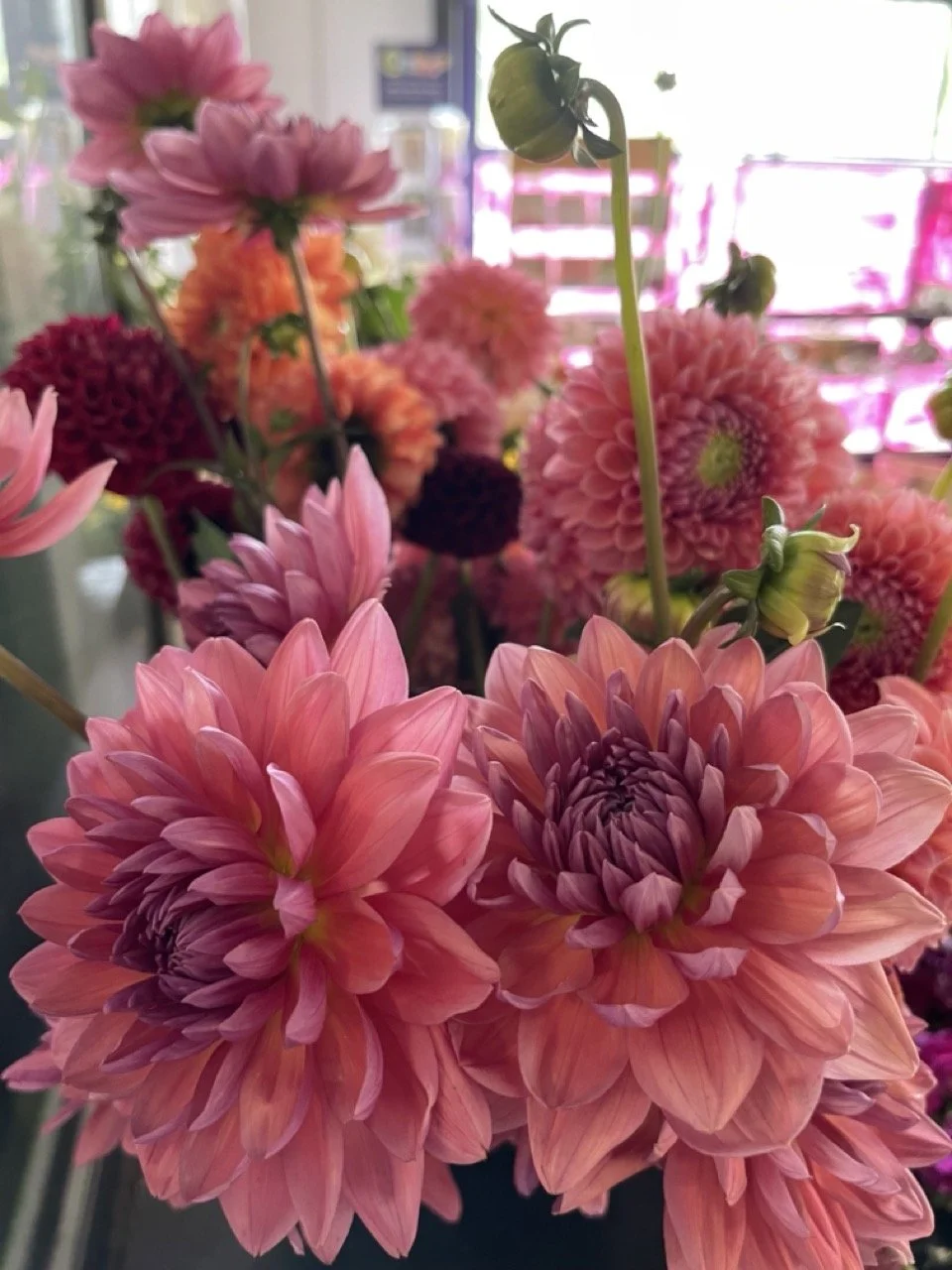Summer Splendor Floral Design Class — Rubia Flower Market West