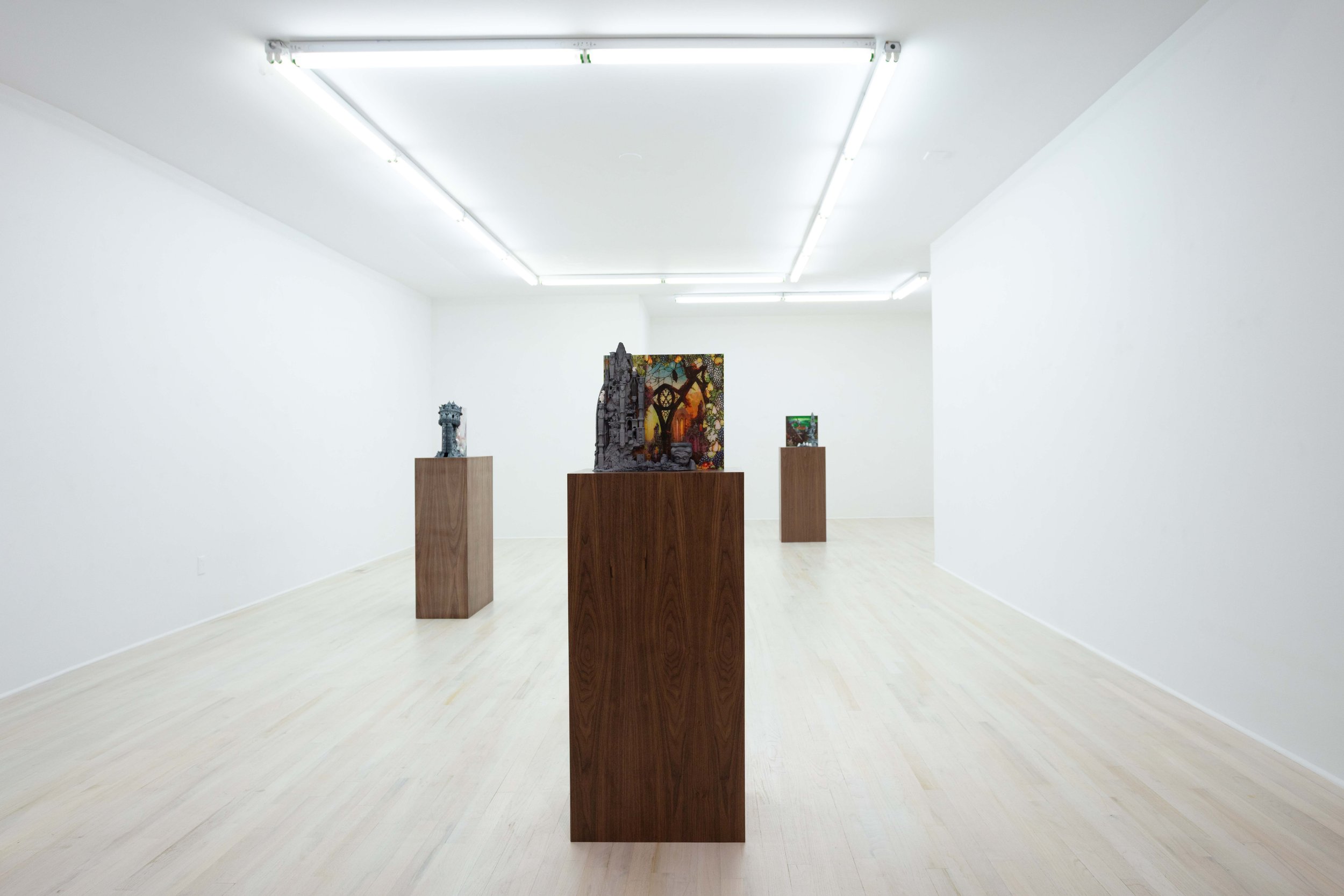 GenevieveGoffman_FarAway_Install_1 copy_1.jpg