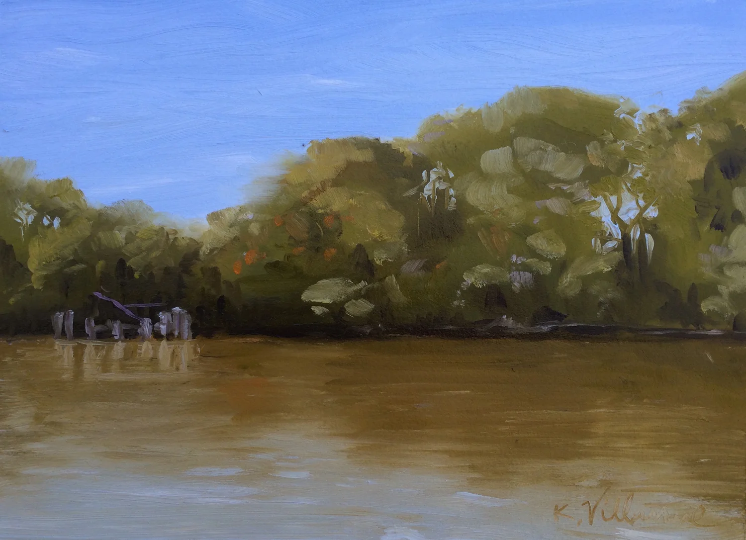 MUDDY SCHUYLKILL RIVER