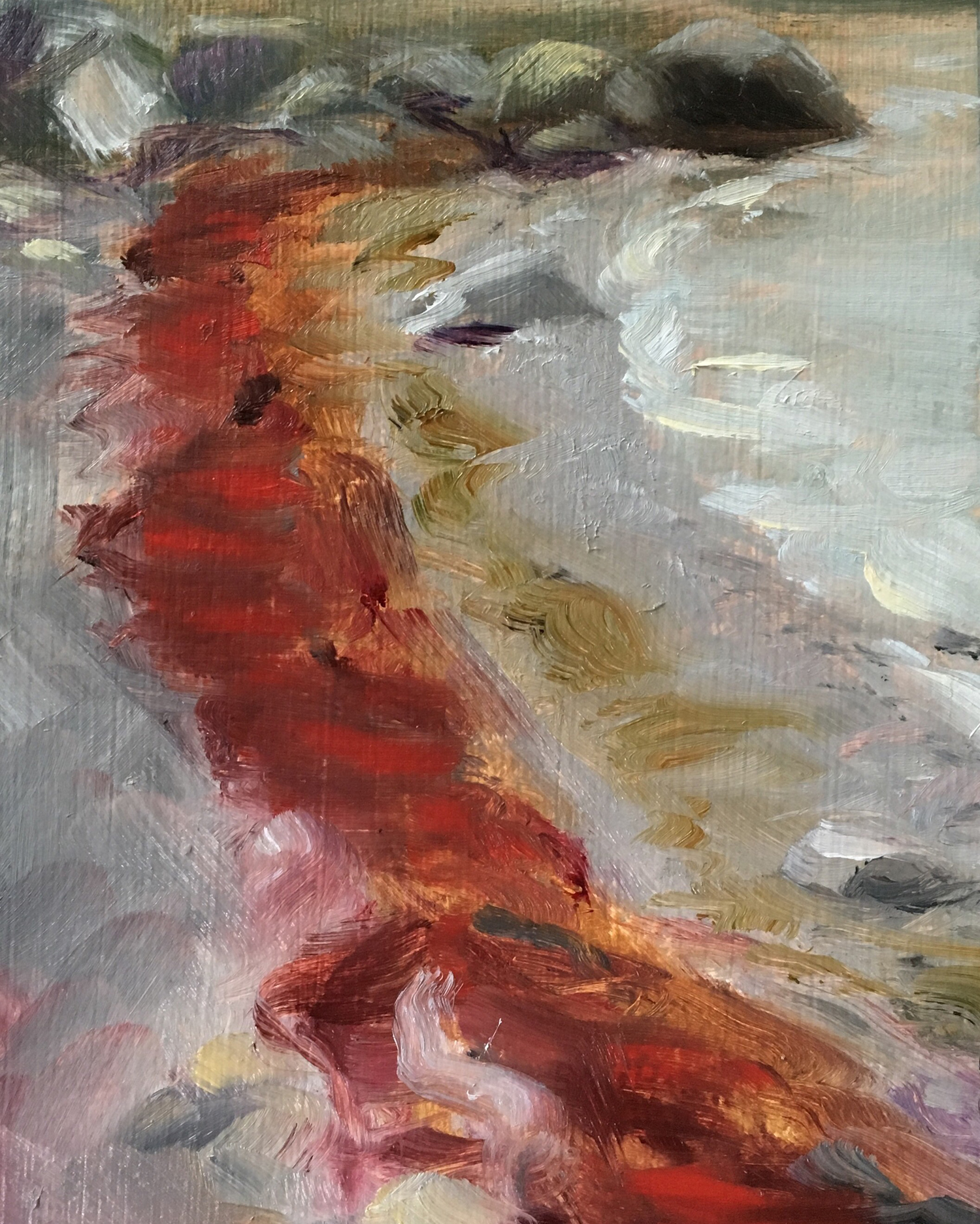 RED KELP ASHORE