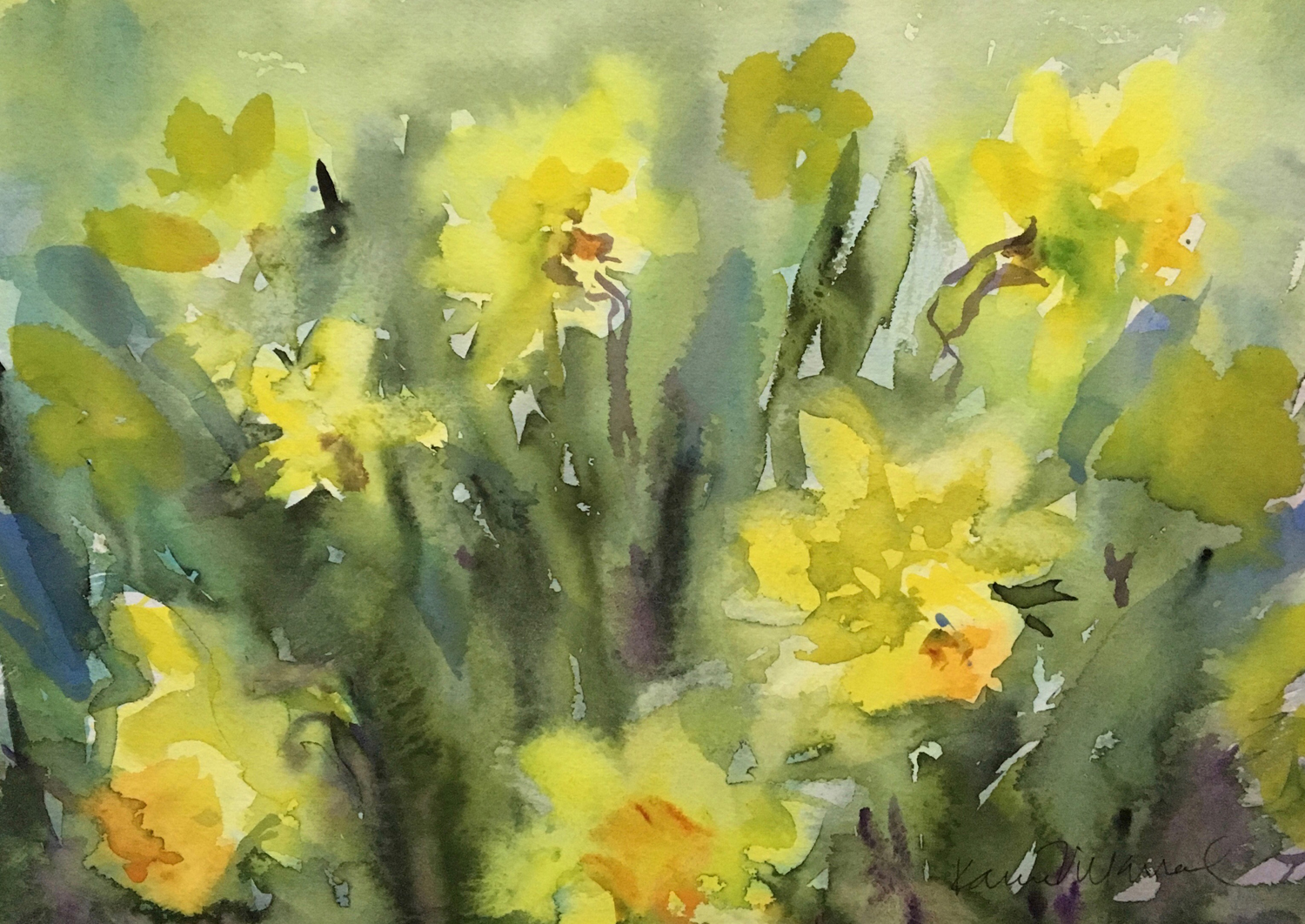 DAFFY SPRING DILLIES