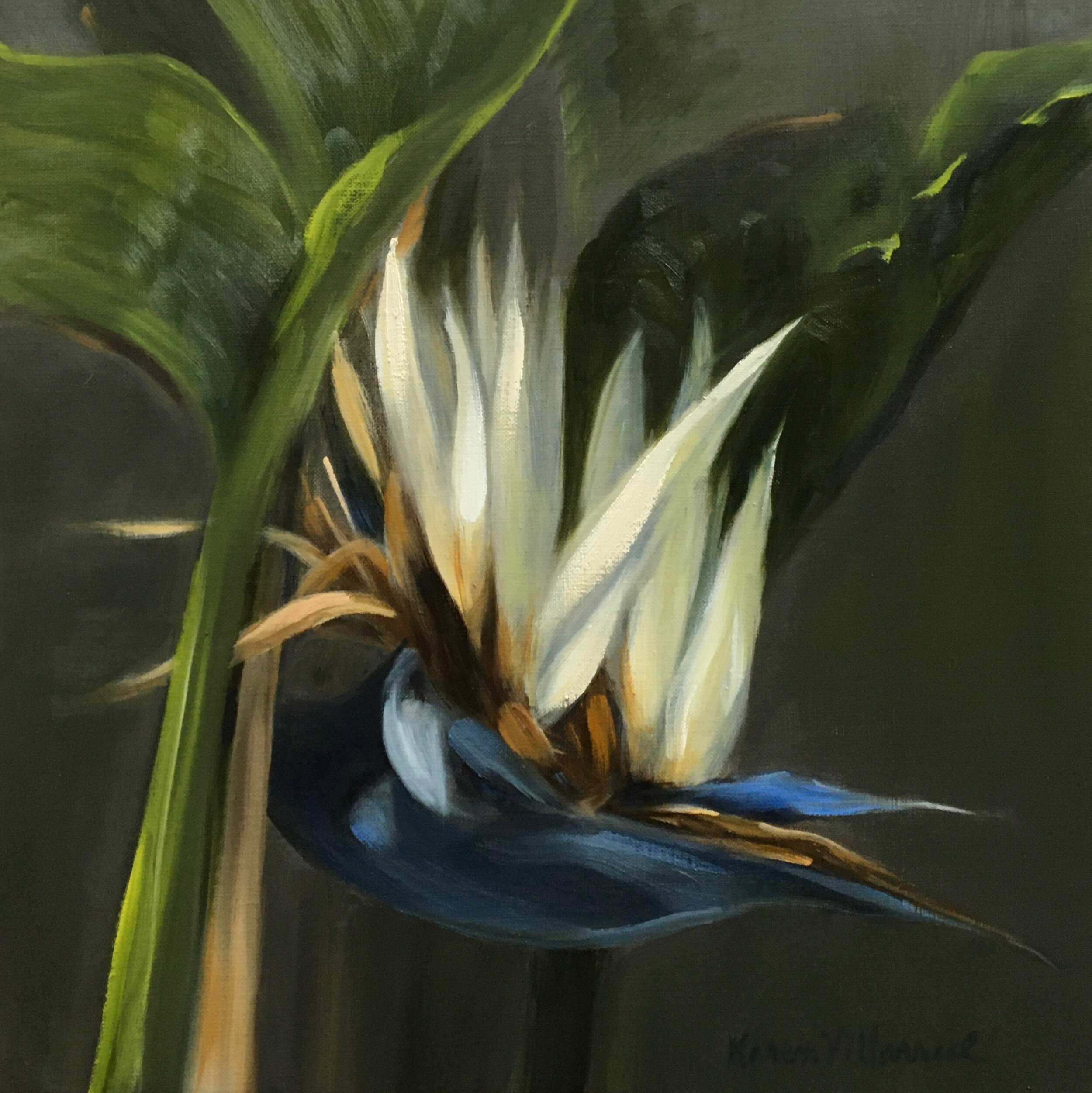 WHITE BIRD