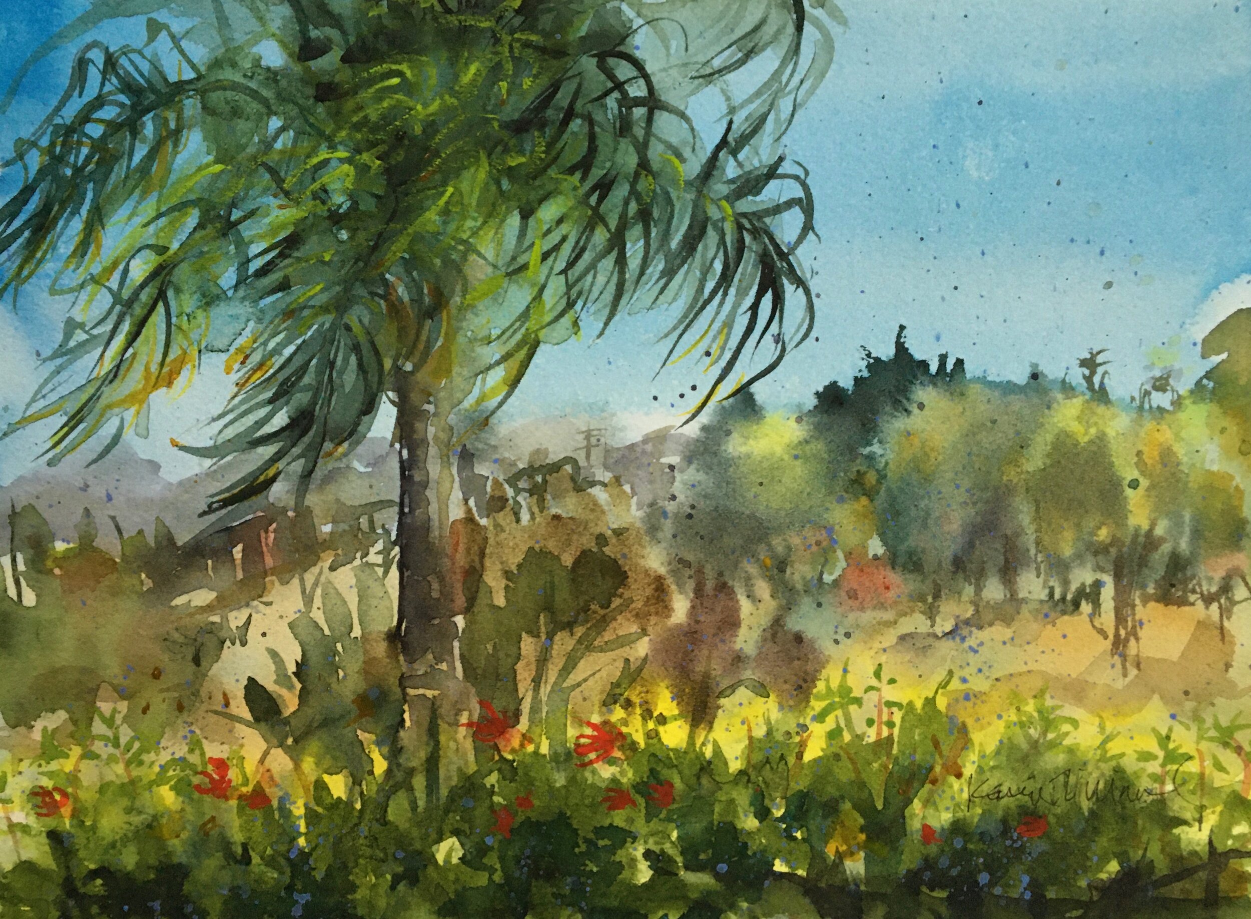 CALIFORNIA WINDS