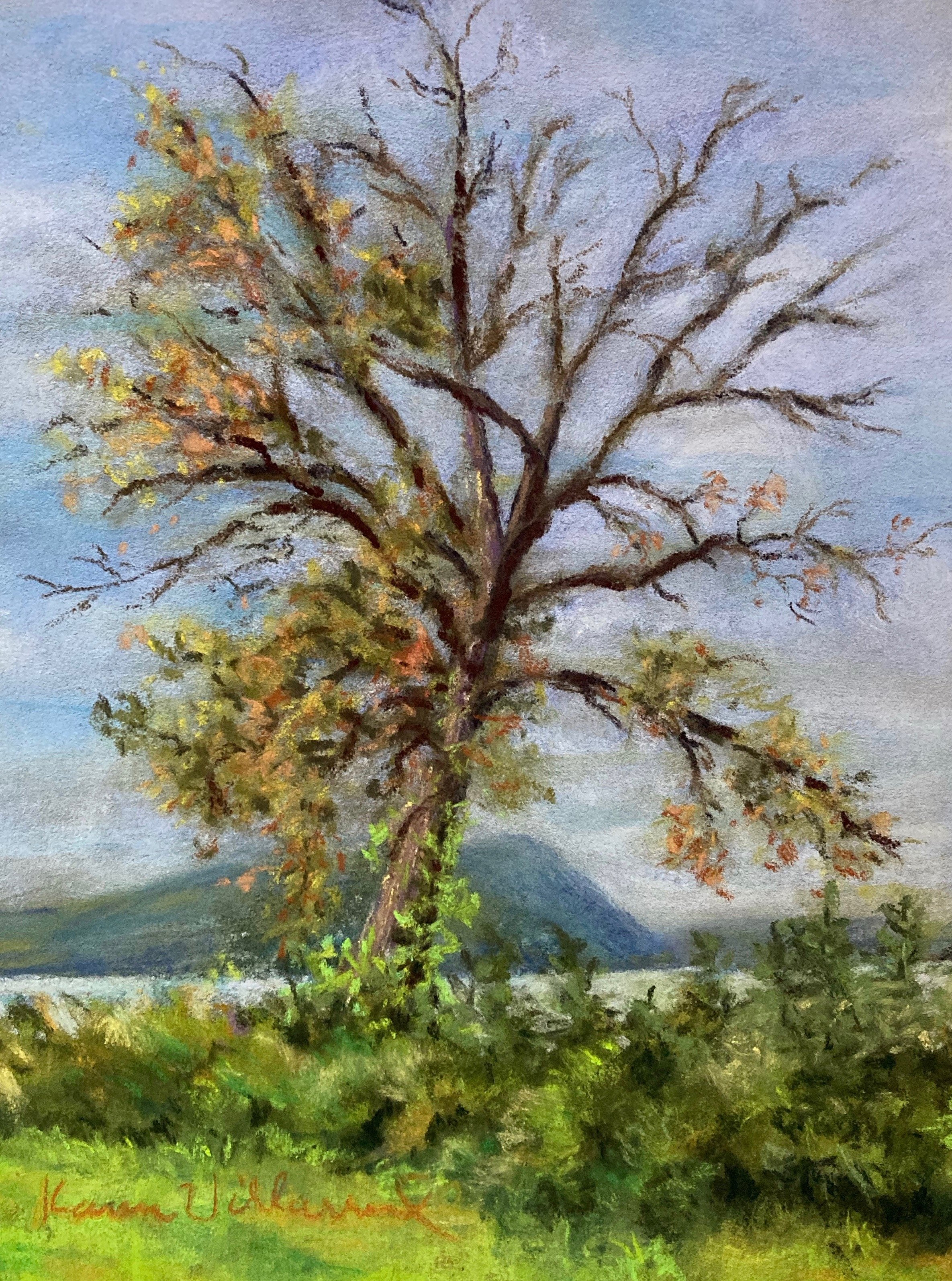 TREE BARELY THERE