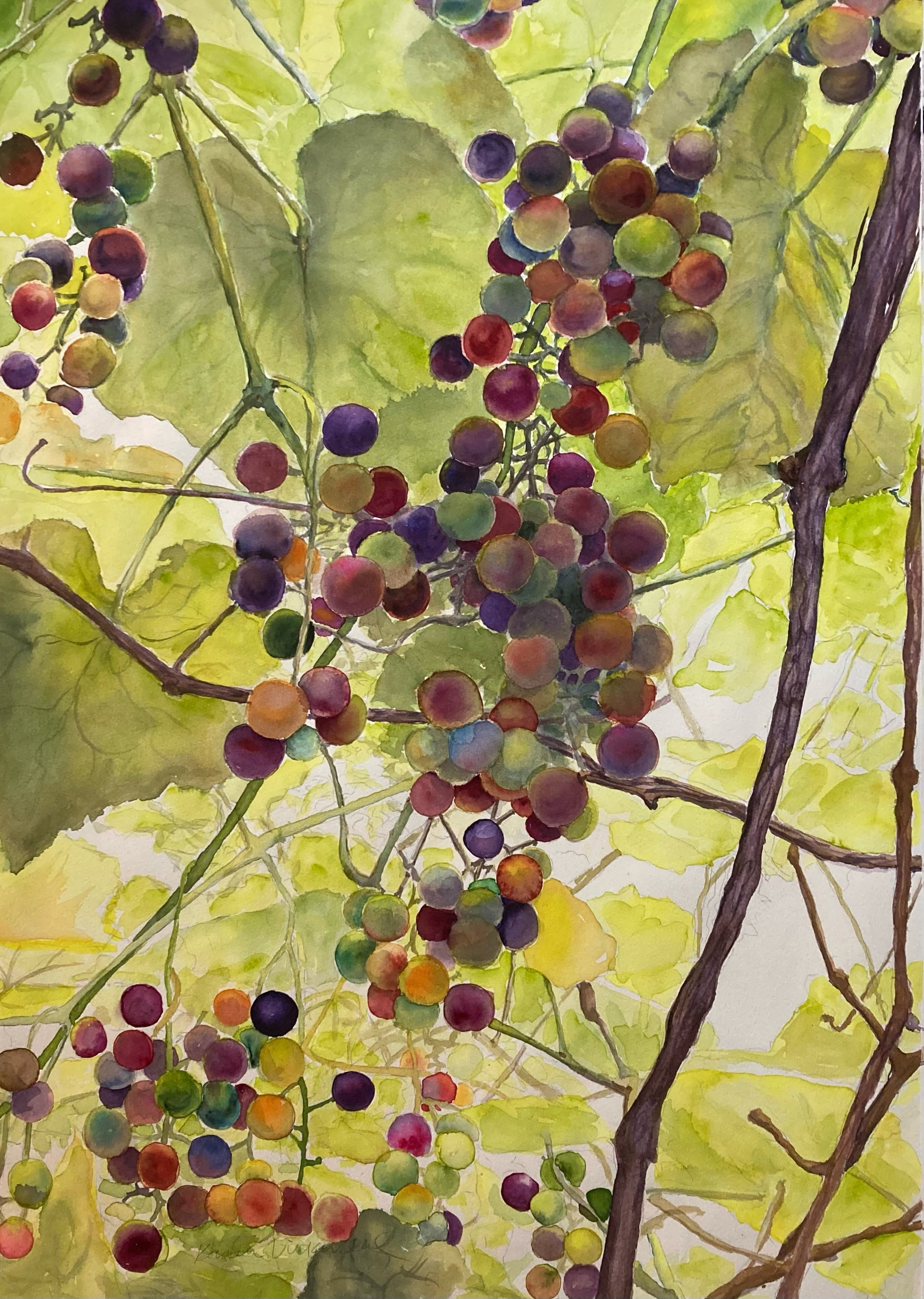 UNDER THE ARBOR AT BOSCOBEL