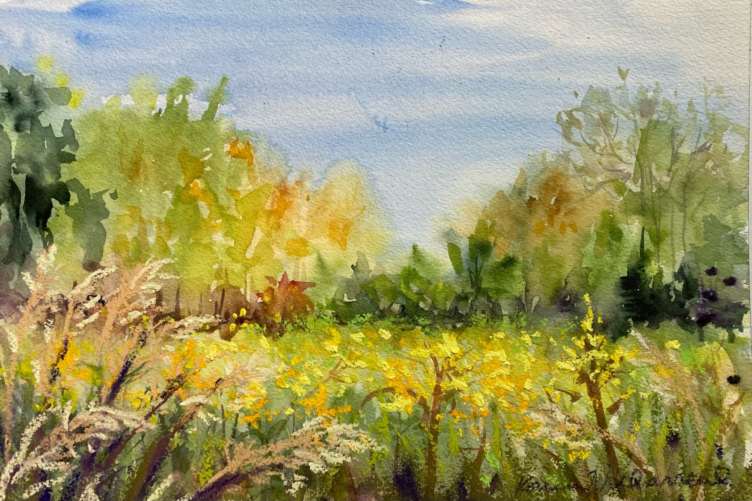 GOLDENROD MEADOW