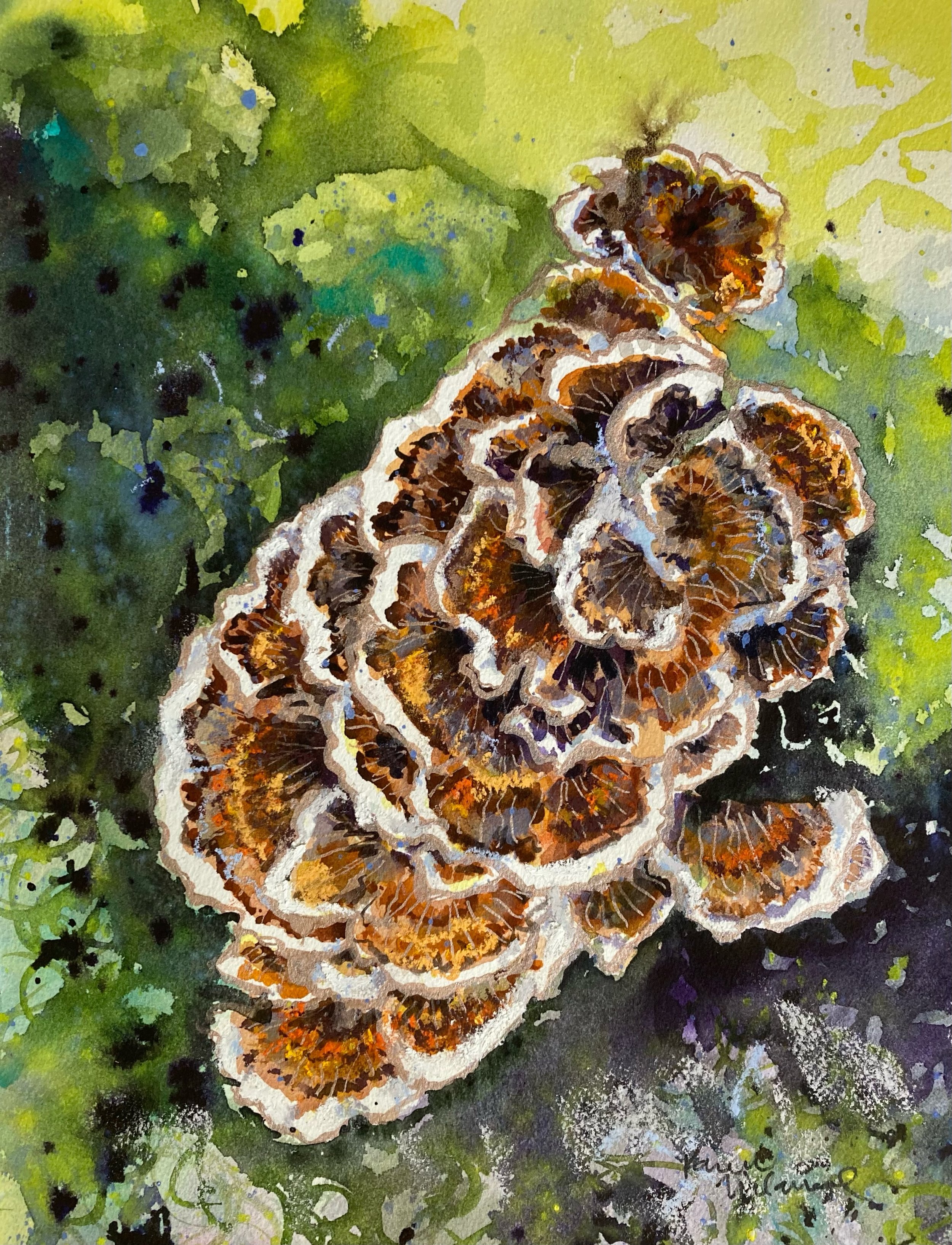 Turkey-tail, Revisited