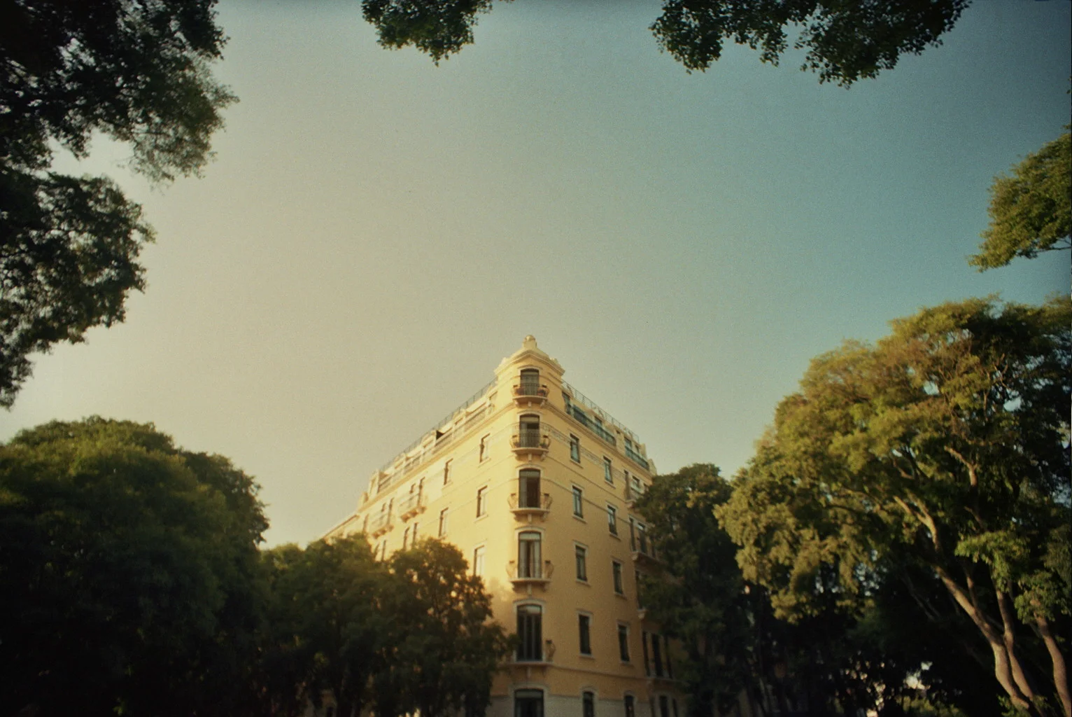 31A_0245.jpg
