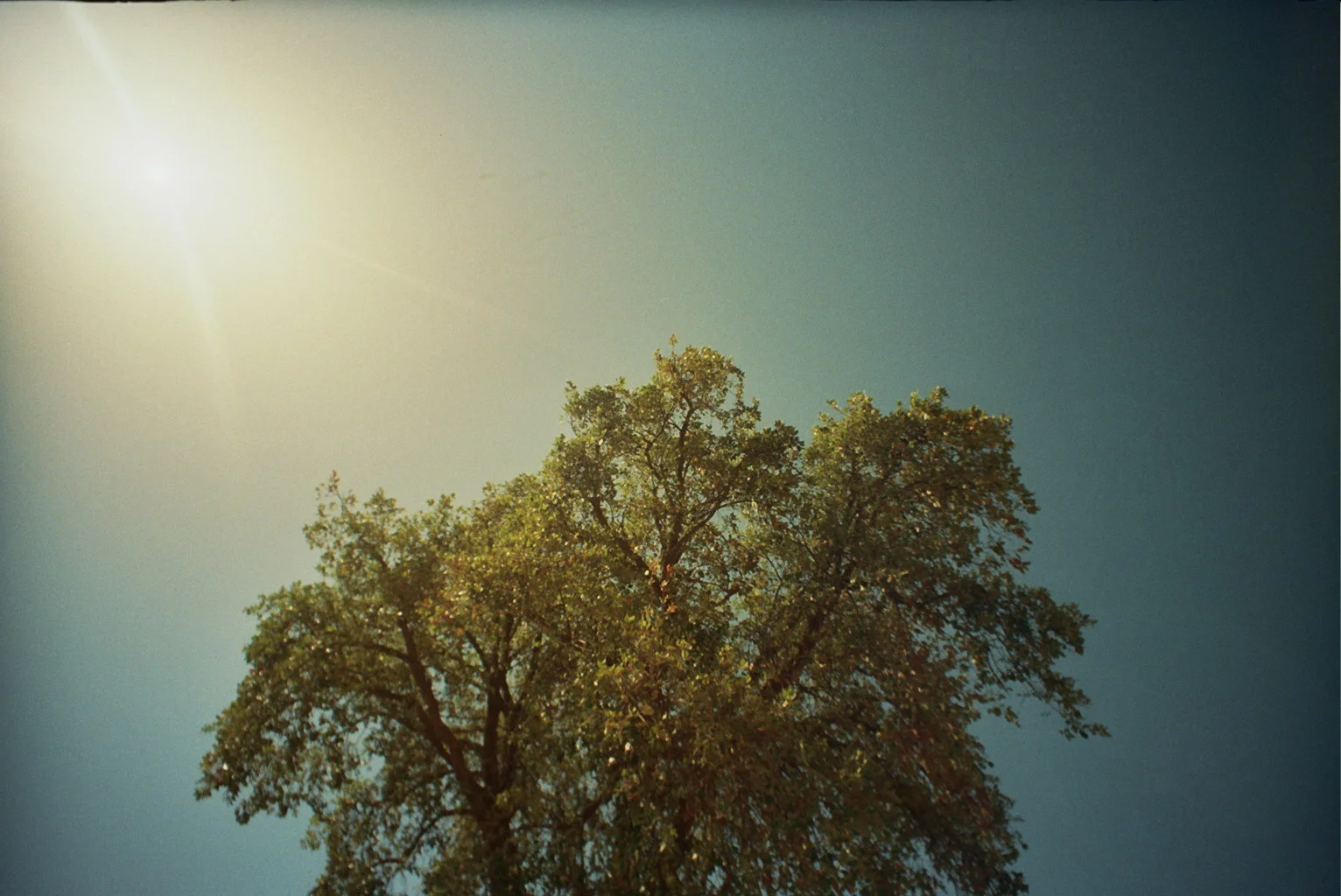 _8A_0222.jpg