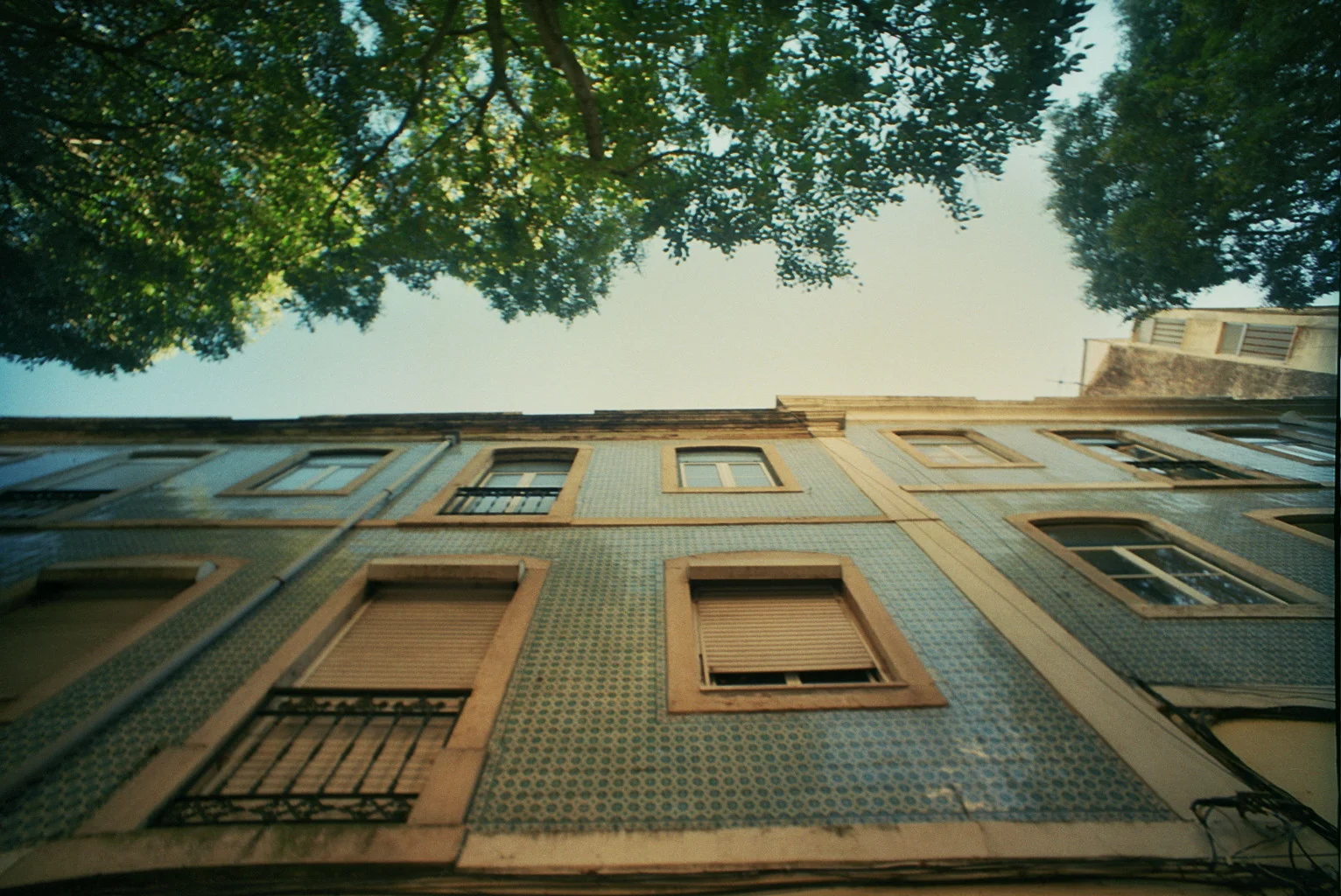 _36_0170.jpg