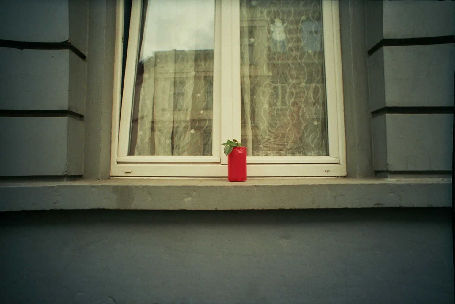 Window