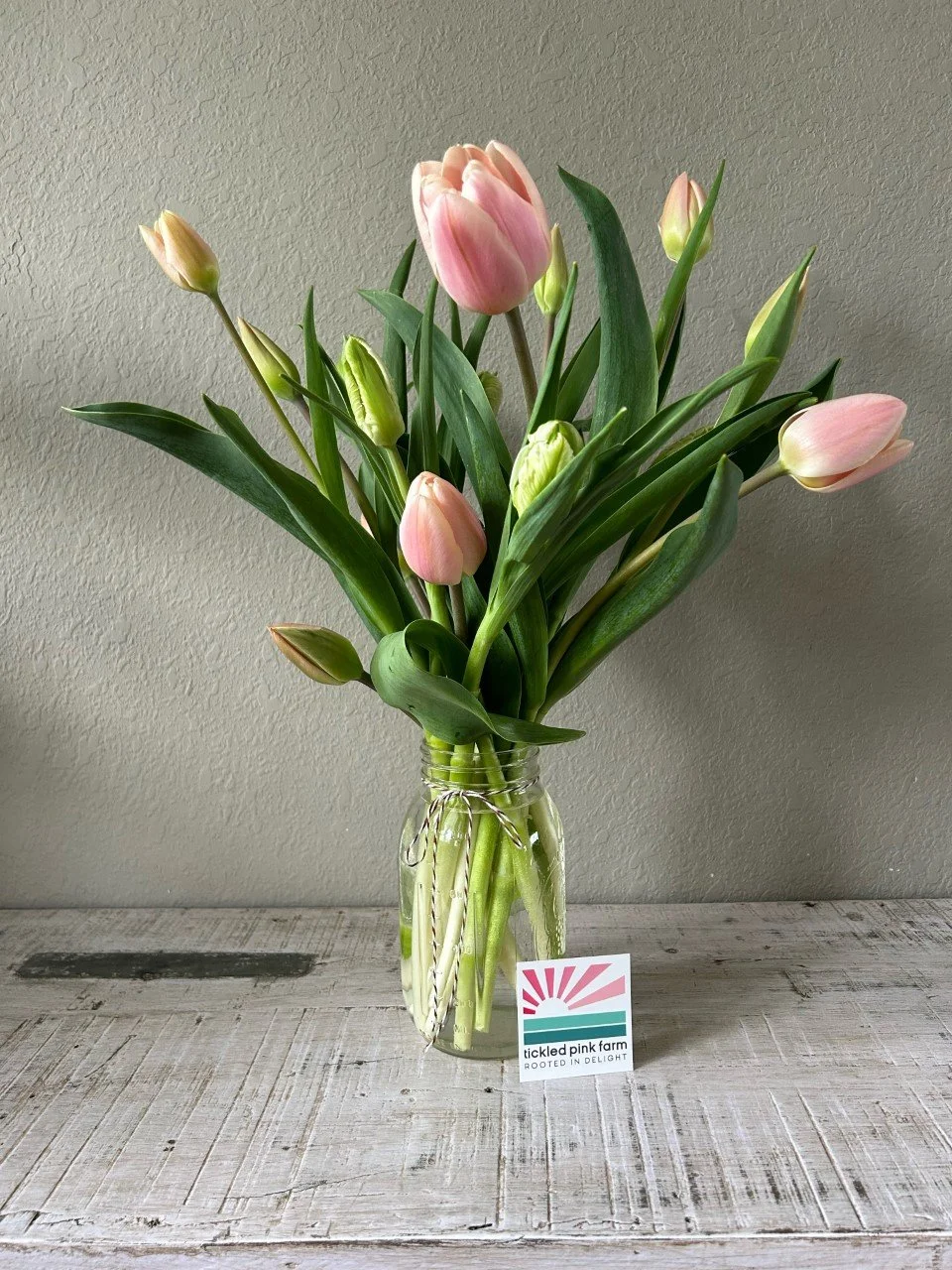 Tickled Pink Farm Logo