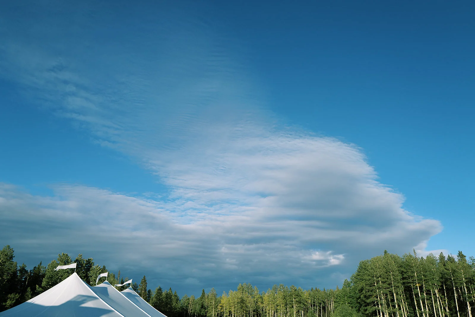 0995W0177_websize.jpg