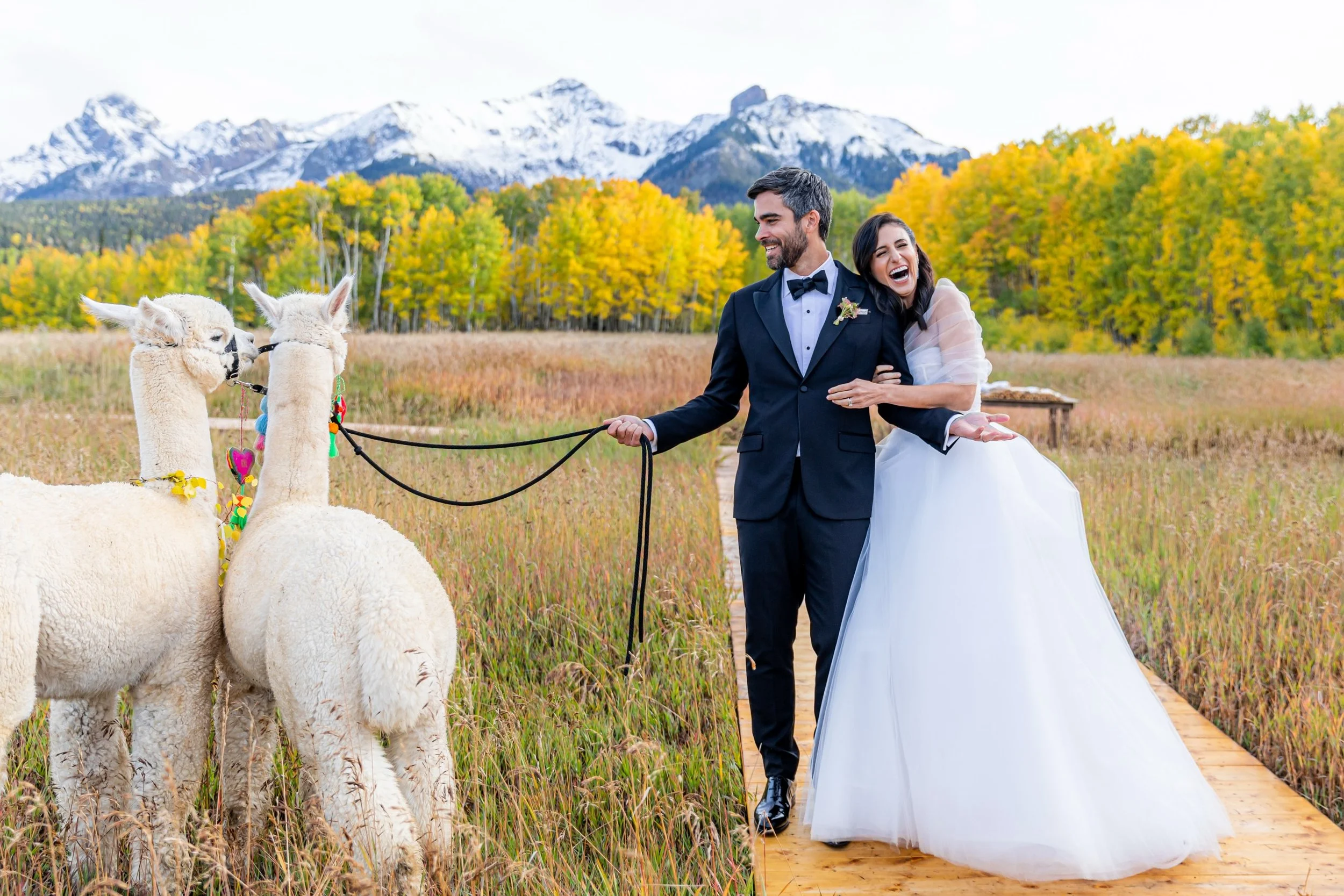 The couple loved llamas. So we brought llamas into the heart of the Telluride mountains. 
That&rsquo;s how we do things around here.

Production: @soireetelluride 
Photo: @abielivesayphotography 

#telluridewedding #coloradowedding #autumnweddinginsp