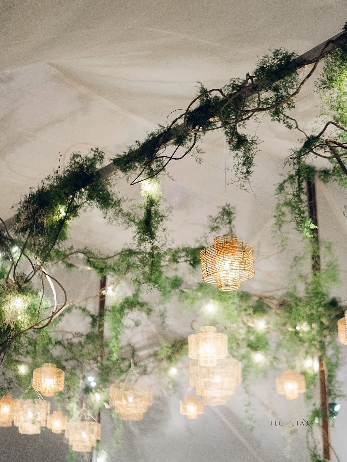 Reception-126.jpg