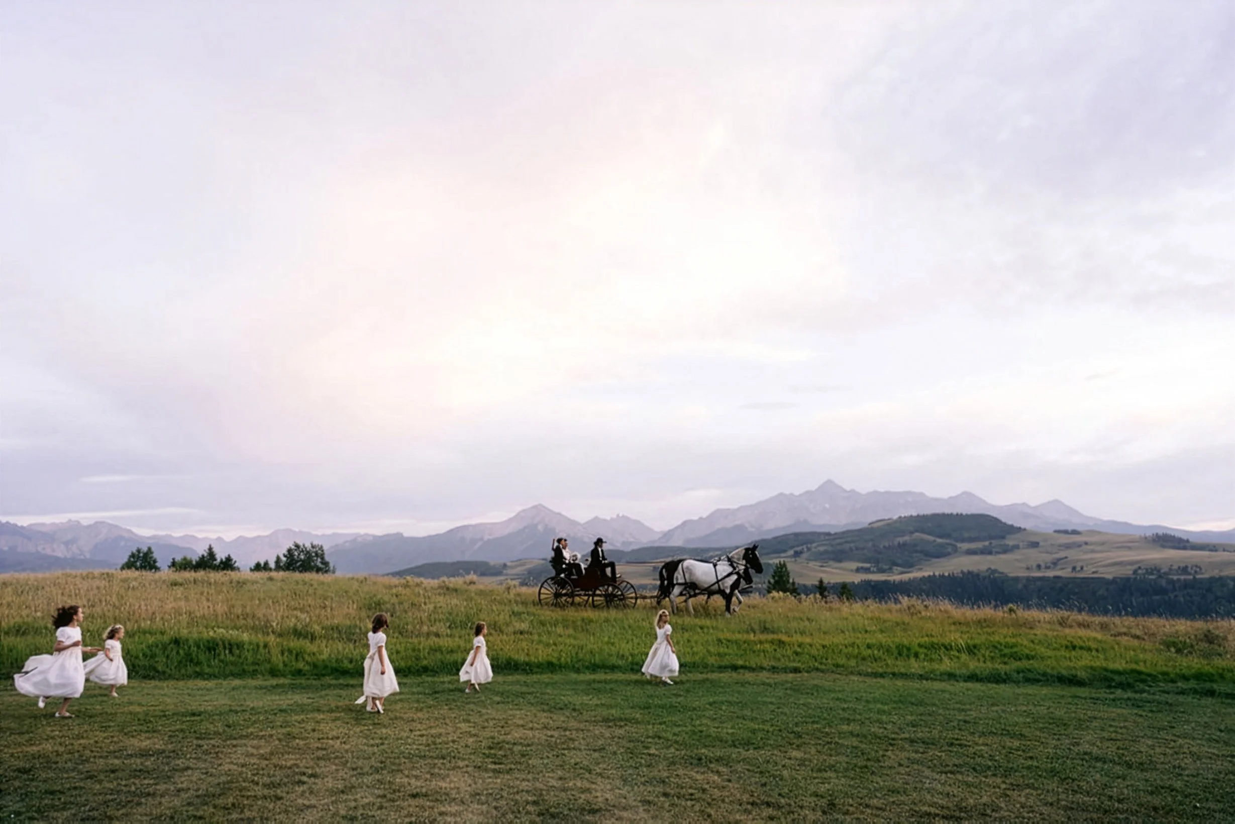  
 Tillar + Austin 
   VIEW GALLERY 
 
 
 