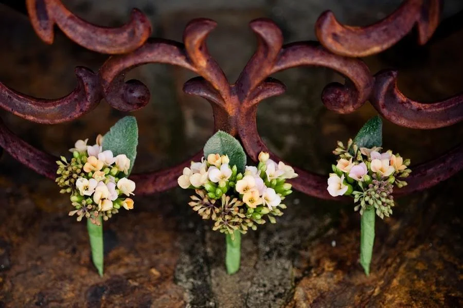 lillie jane birmingham groom