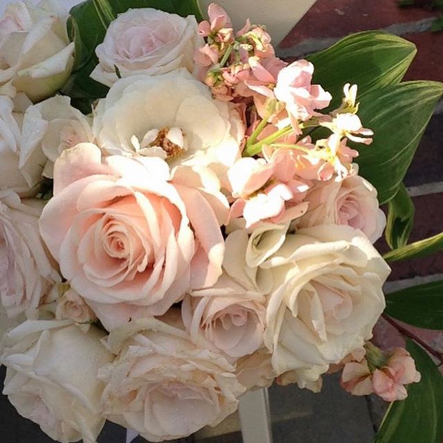 Morning sunshine on pretty pew markers #fbf #flashbackfriday @beckysbrides @ruckerplace .
.
.
.
#weddingflowers #flowers  #weddingdesign #southernwedding #stylemepretty #alabamawedding #alabamabride #persuepretty #thehappynow #becreative #thatsdarlin