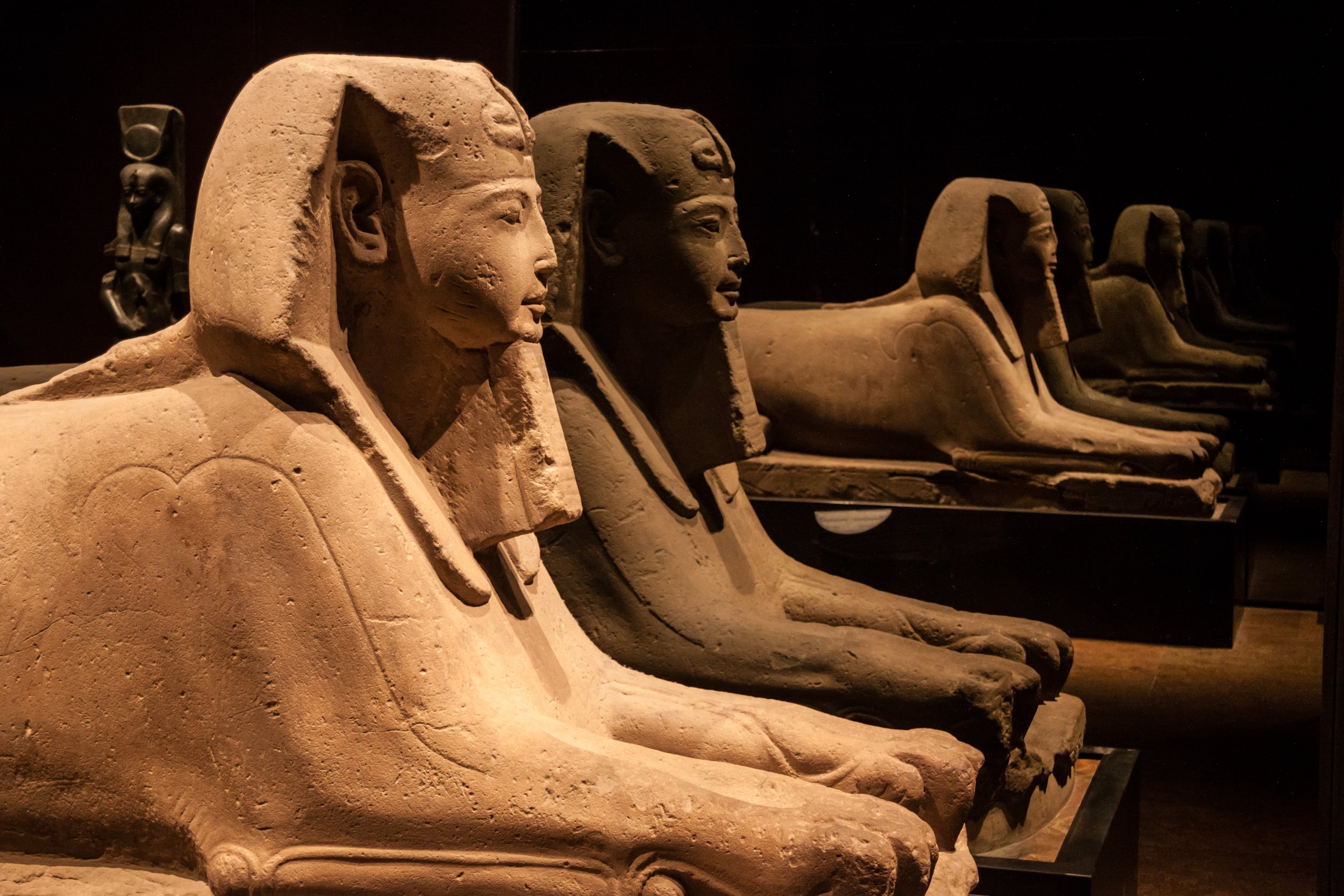 Egypt-museum.jpeg