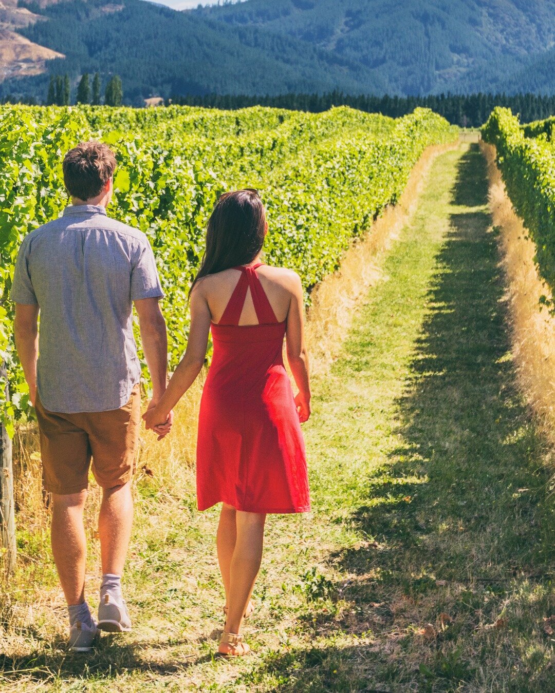 🍇 Imagine strolling hand-in-hand through the sun-kissed vineyards of Napa Valley, cozying up in luxurious hotels, sipping on fine wines, and savoring gourmet meals under the stars.

💕 Let's turn this picturesque dream into reality this Valentine&rs