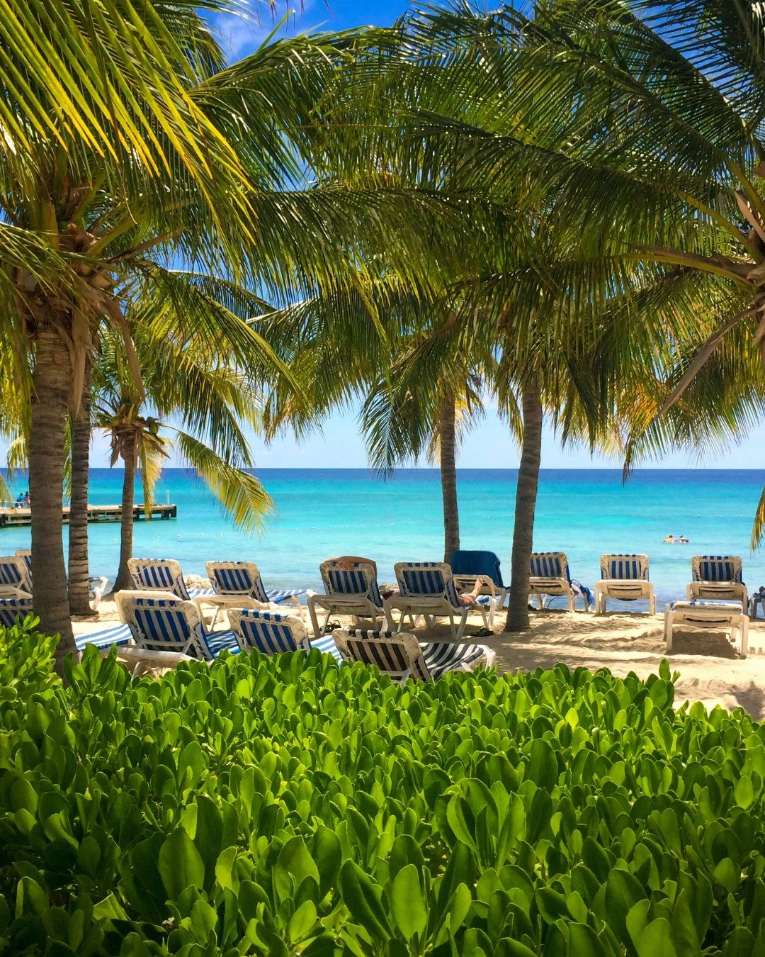 Spring Break is calling; why not make it unforgettable? Picture yourself soaking up the sun in Turks &amp; Caicos, wandering pastel streets in Lisbon, chasing cherry blossoms in Kyoto, or spotting wildlife in the Gal&aacute;pagos.

Whether you dream 