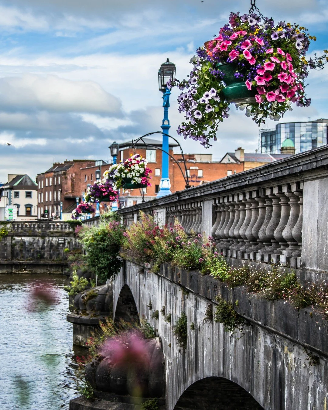 What a month of incredible journeys! From intimate Mediterranean cruises to Alaska expedition vessels spotting grizzlies, family adventures in Ireland, Nile River cruises, first-time African safaris, and even Great Lakes escapes closer to home, our t