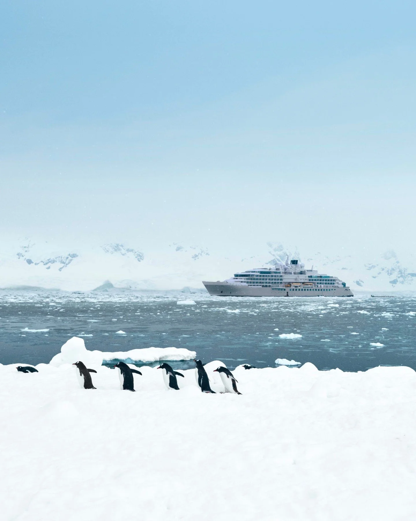 When the penguins wave you over as you approach Antarctica, you know it&rsquo;s going to be a great day aboard your Silversea expedition voyage. ​
​
Jaw-dropping icebergs ✅​
Stunning glaciers ✅​
Dancing penguins beckoning you over ✅​

Antarctica, the