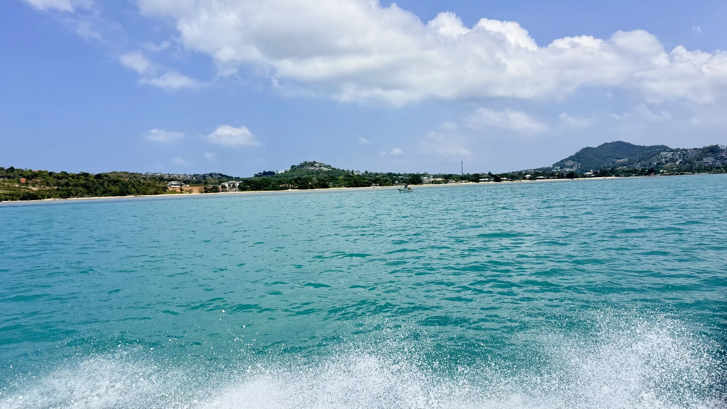 IMG_6984.jpeg
