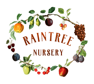 Raintree Nursery