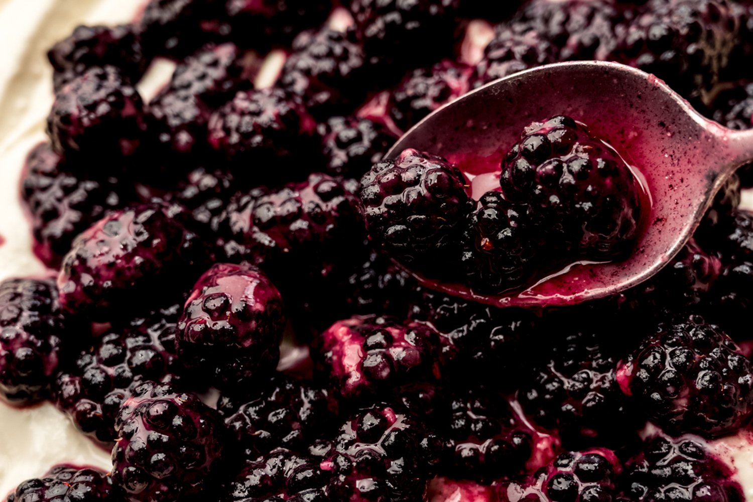 blackberry galette-16.jpg