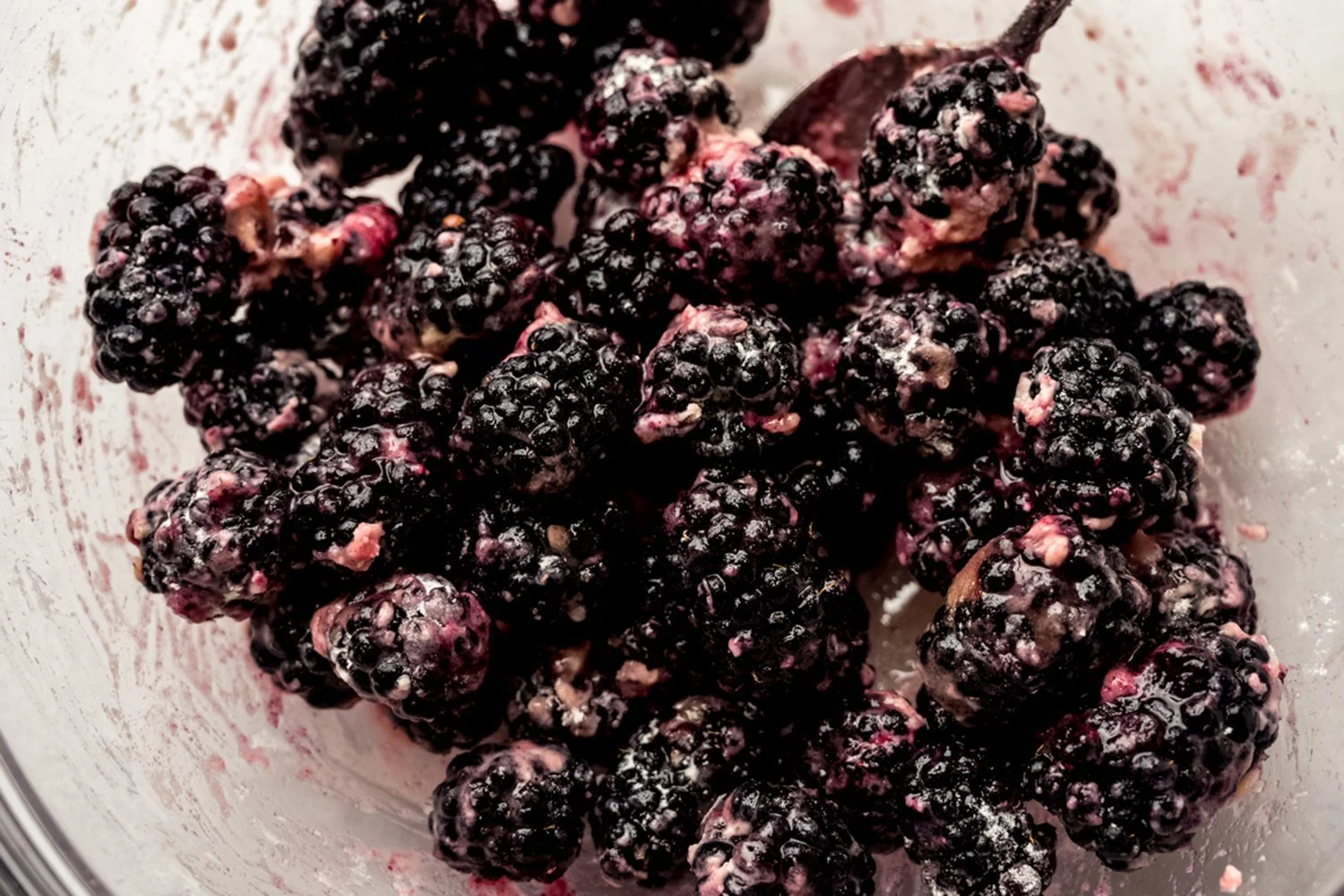 blackberry galette-21.jpg