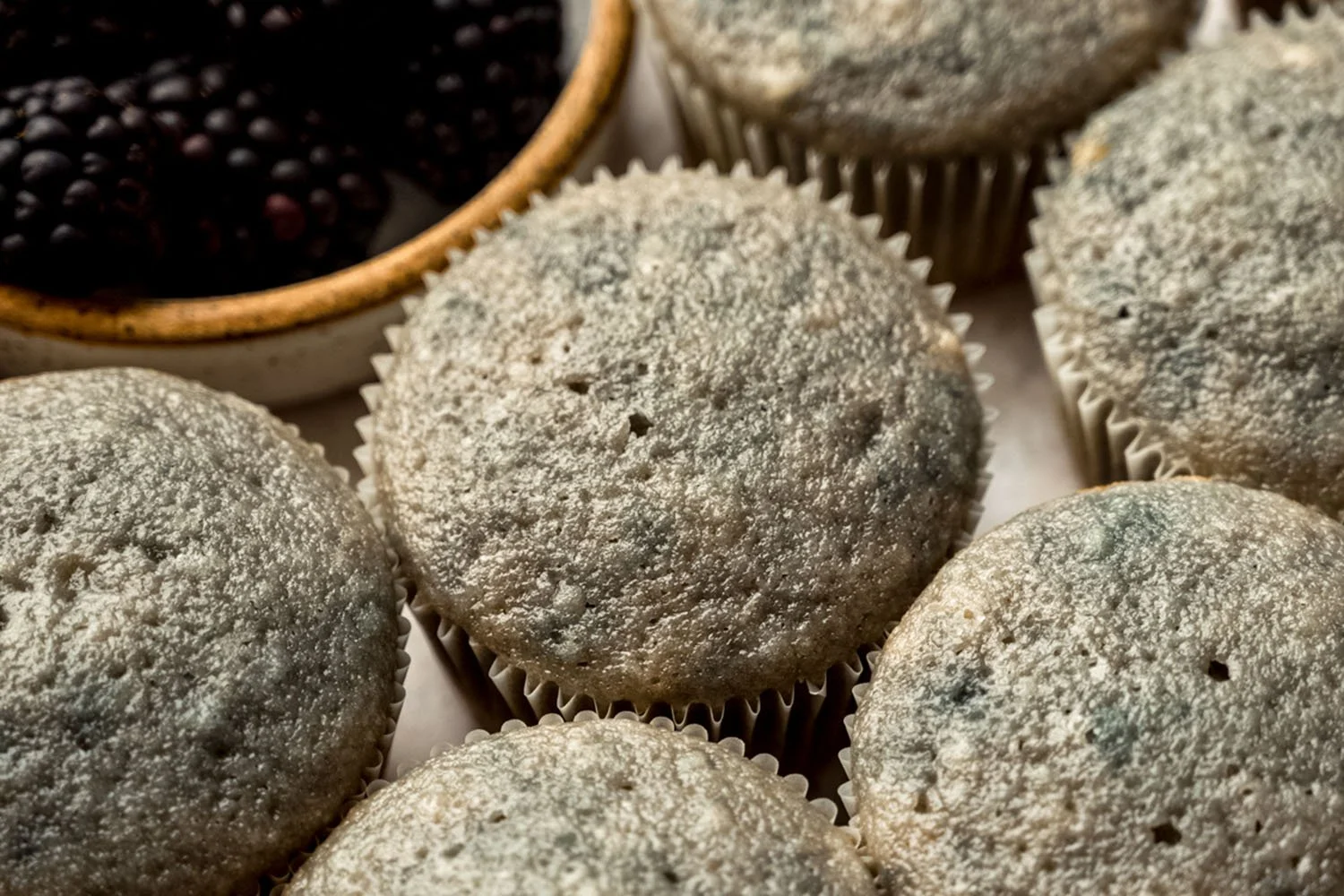 blackberry cupcakes-07.jpg