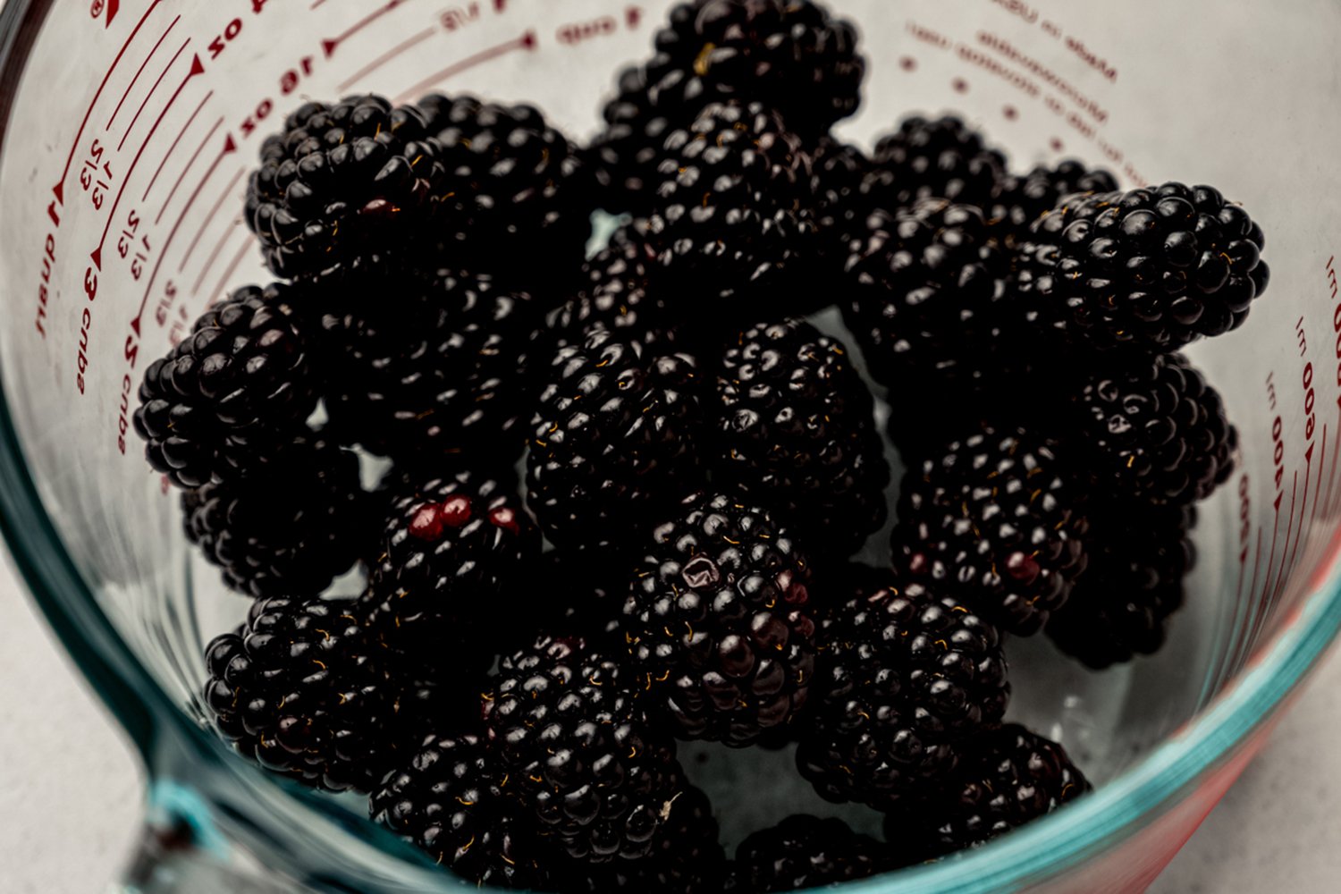 blackberry cupcakes-17.jpg
