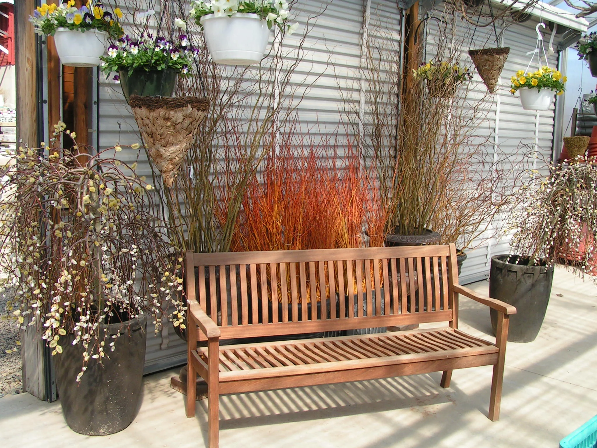 Our Seasonal Nursery — Schonheit Gardens