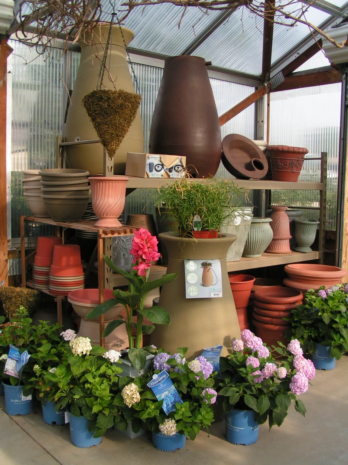 Our Seasonal Nursery — Schonheit Gardens