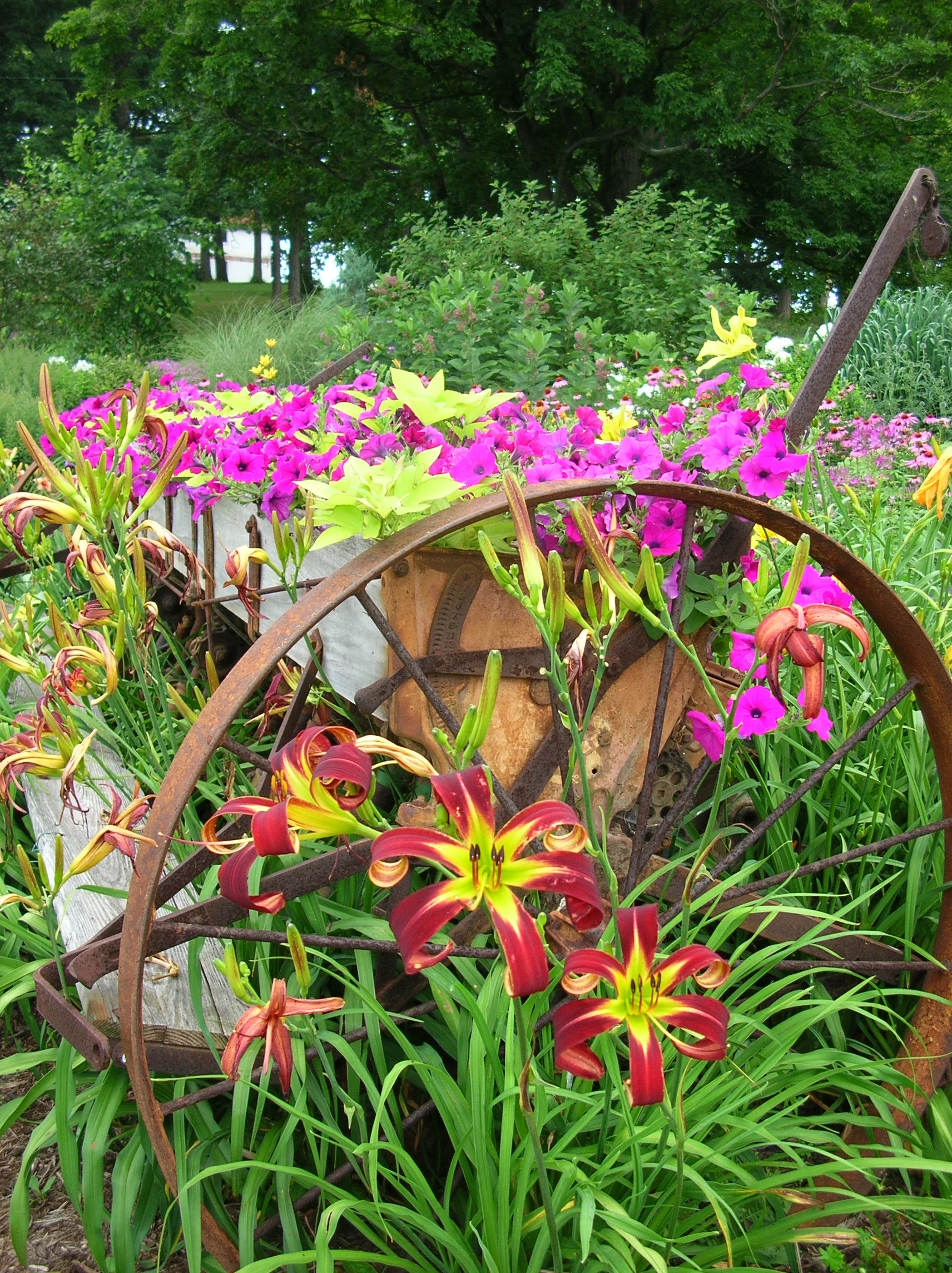 Our Seasonal Nursery — Schonheit Gardens