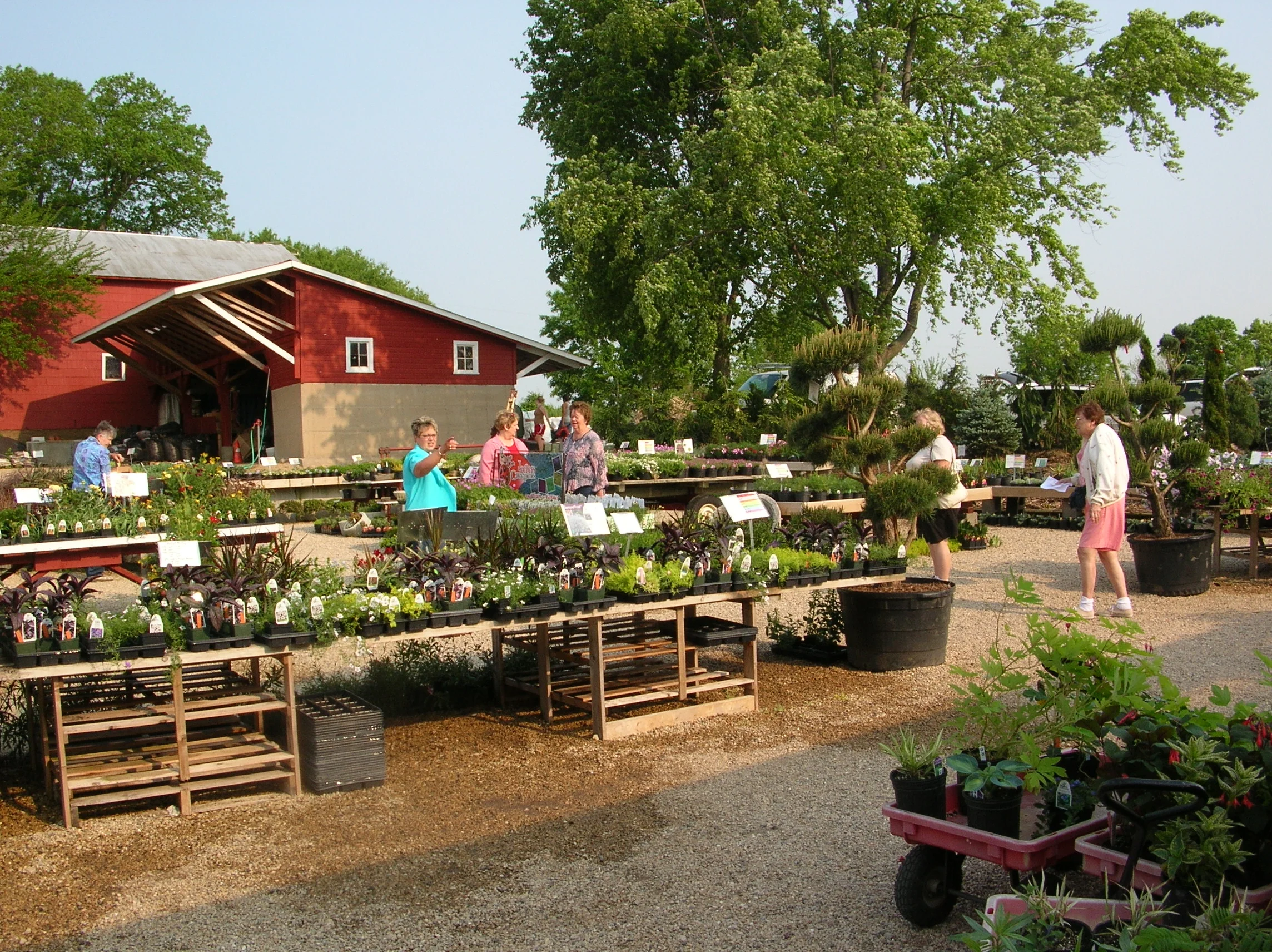 Our Seasonal Nursery — Schonheit Gardens