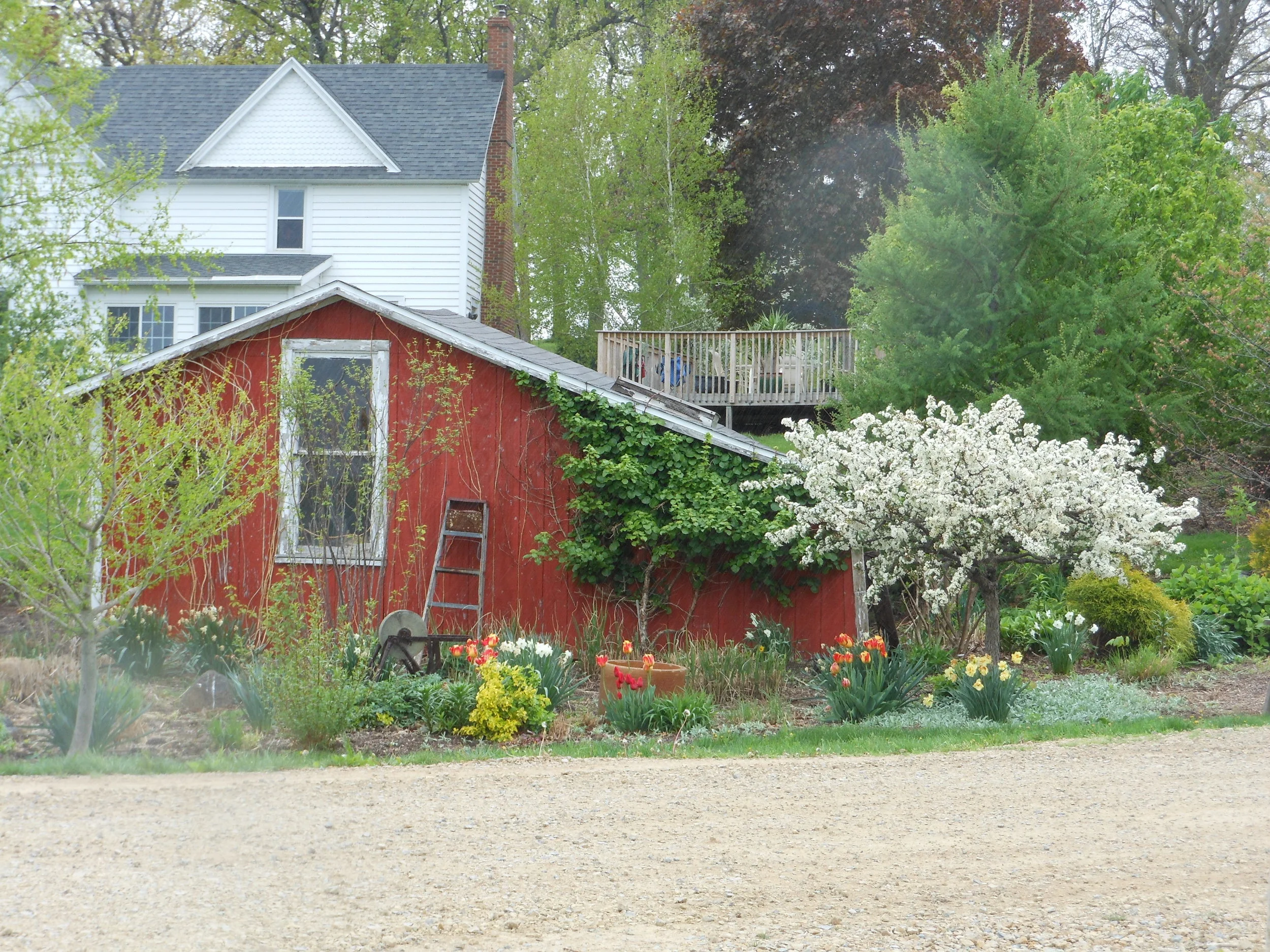Our Seasonal Nursery — Schonheit Gardens