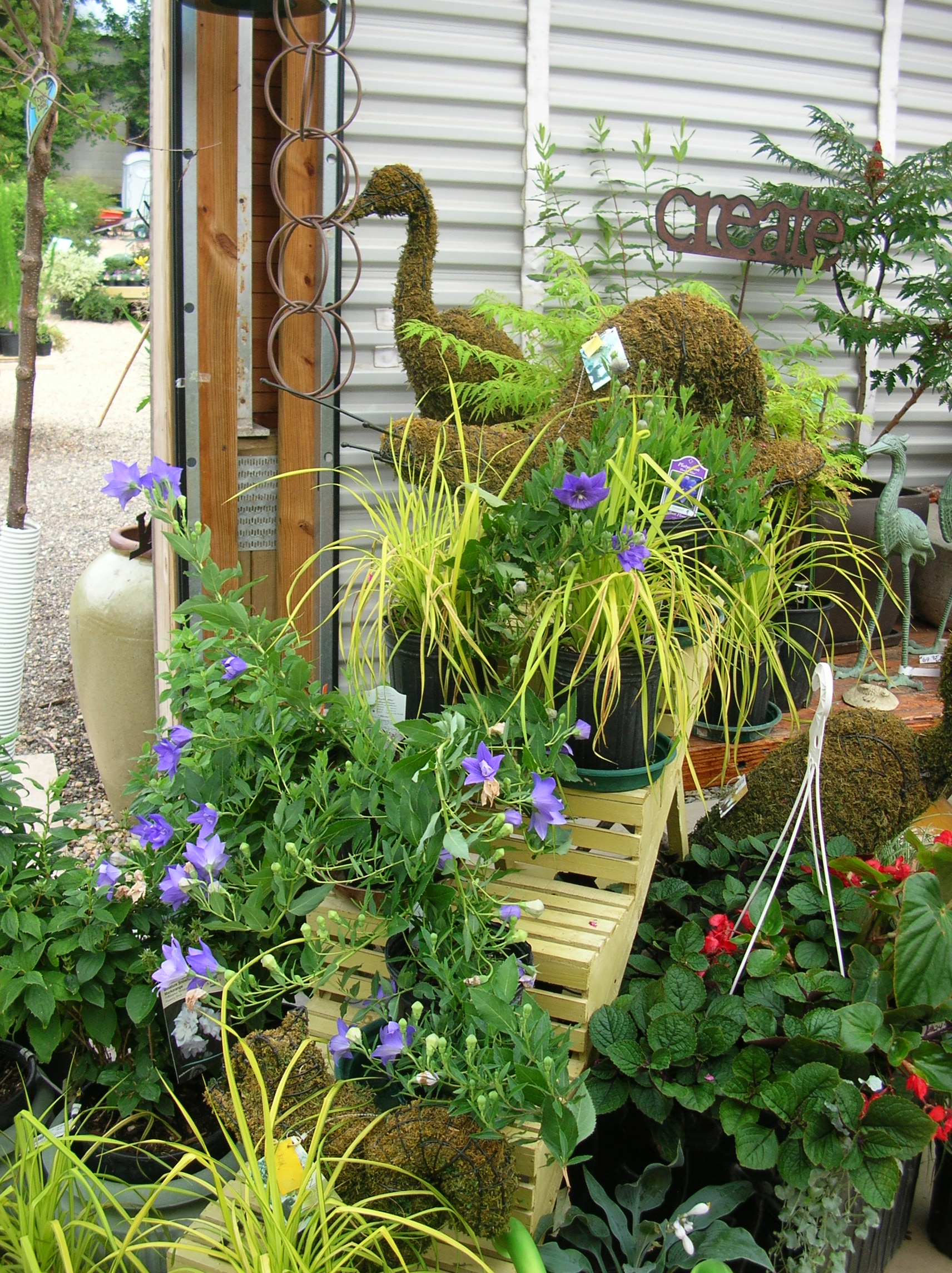 Our Seasonal Nursery — Schonheit Gardens