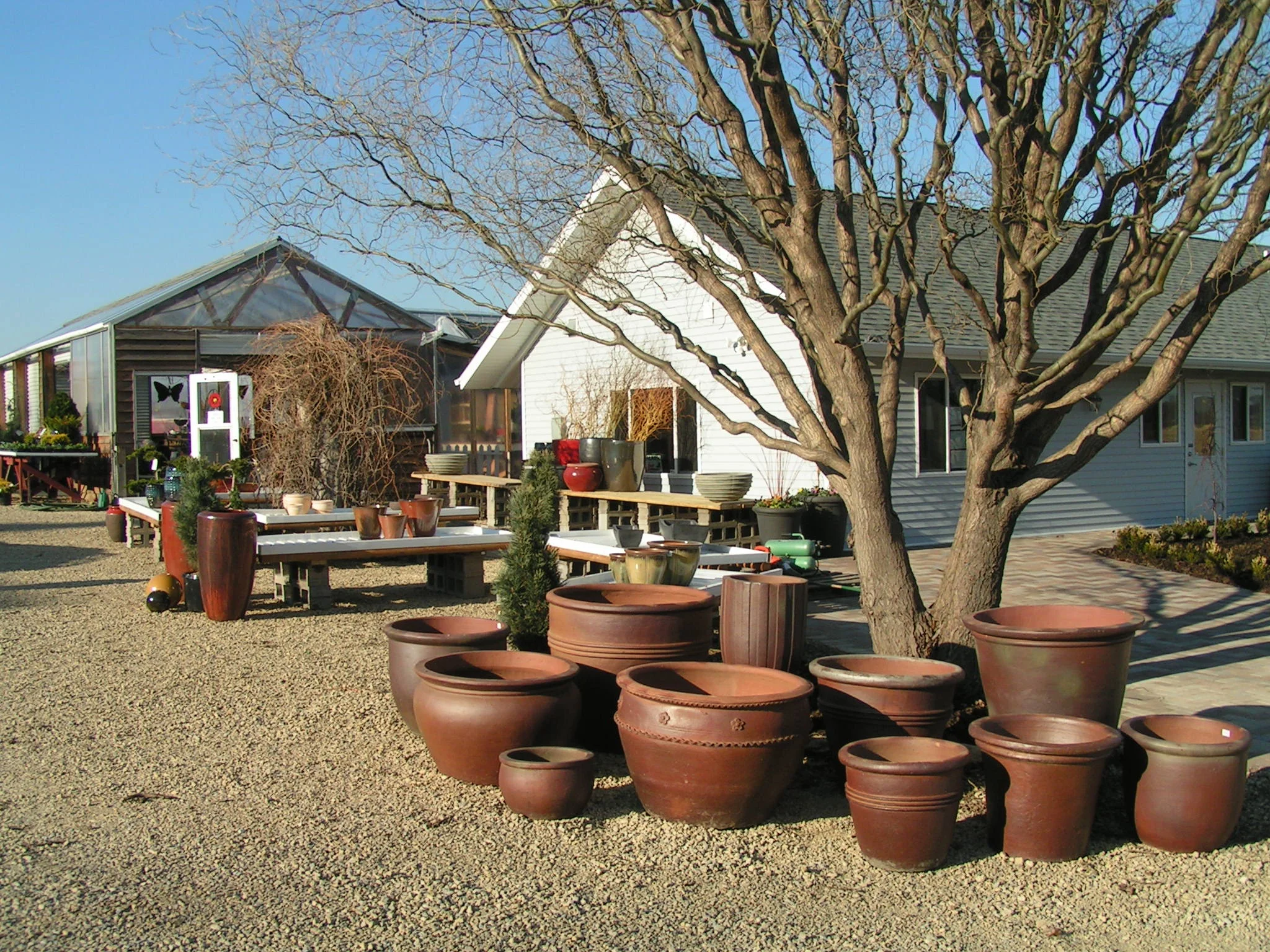 Our Seasonal Nursery — Schonheit Gardens