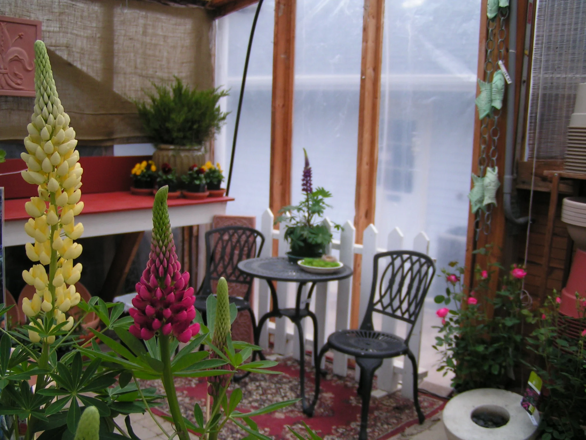 Our Seasonal Nursery — Schonheit Gardens