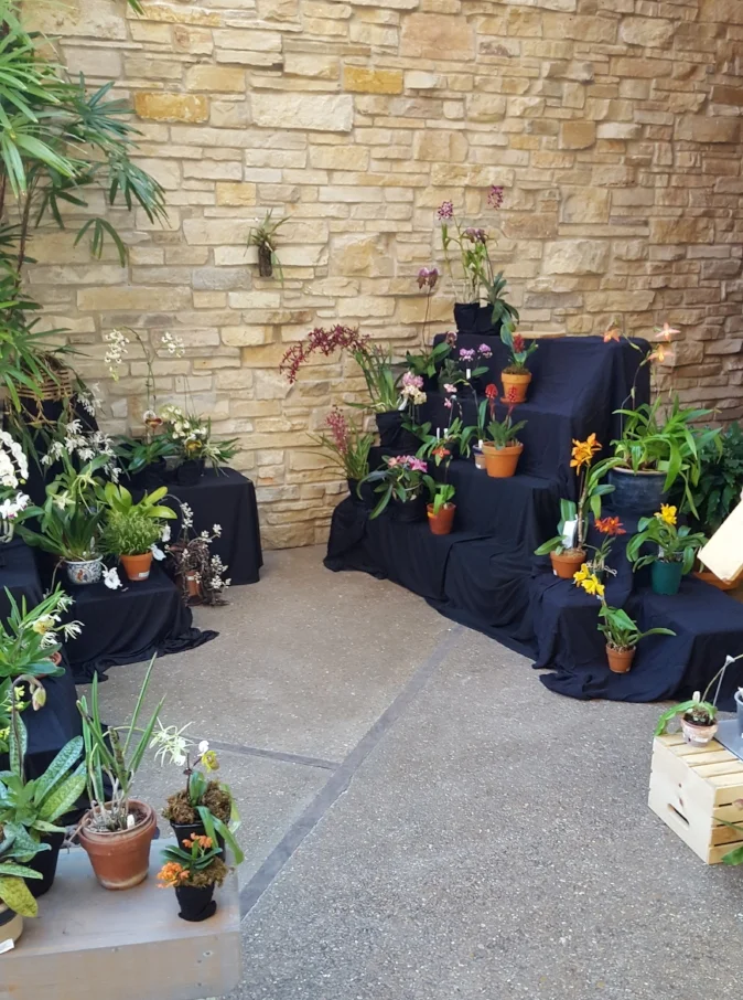 Madison Orchid Growers' Guild's annual orchid show