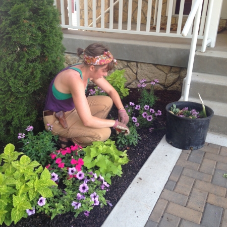 Summer annual flower container blog post from Schonheit Gardens in Sun Prairie, Wisconsin near Madison.