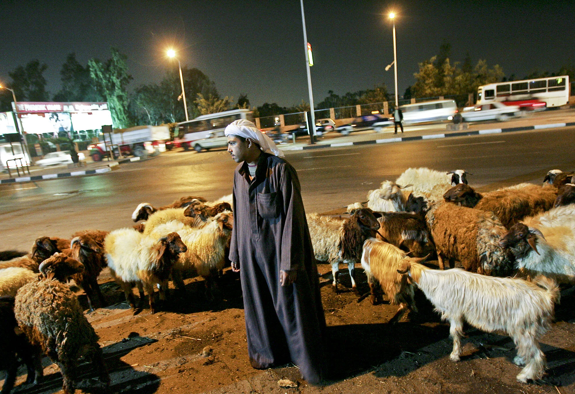 Baldwin_Egypt_20018_Masters.jpg