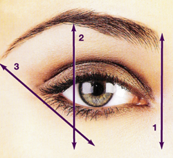 Some common errors to look out for: Eyebrows to close Eyebrows too far apart Eyebrows too bushy Eyebrows too thin Eyebrows arched too high