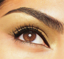 Some helpful tips: Never trim the very last hairs from the eyebrow tail. Never tweeze the hairs at the end of the eyebrow. Brush and fix them with gel. The longer the better. Use brow pencil or powder prior to using brow gel to avoid clumping.